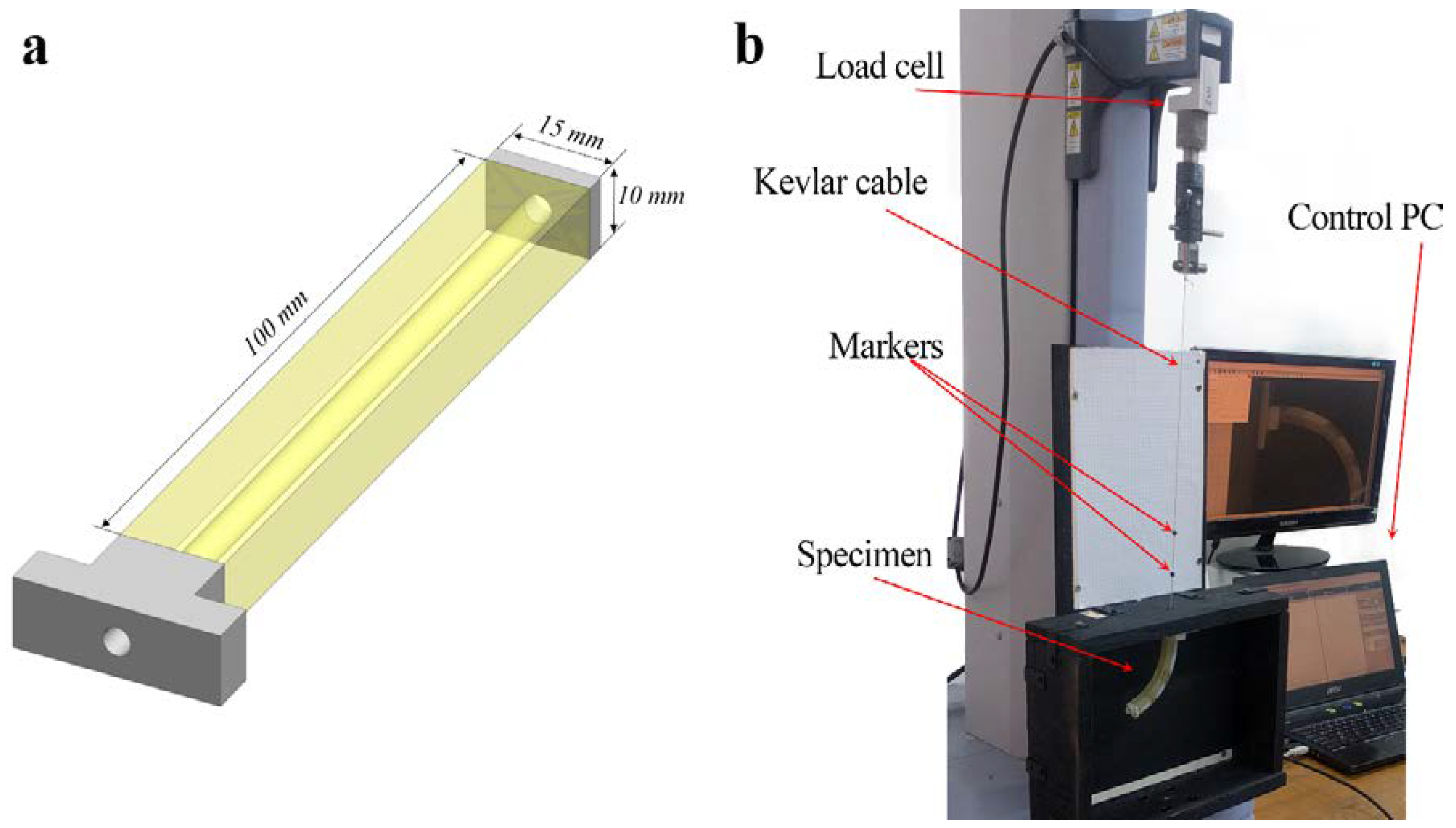 Polymers 10 00846 g001