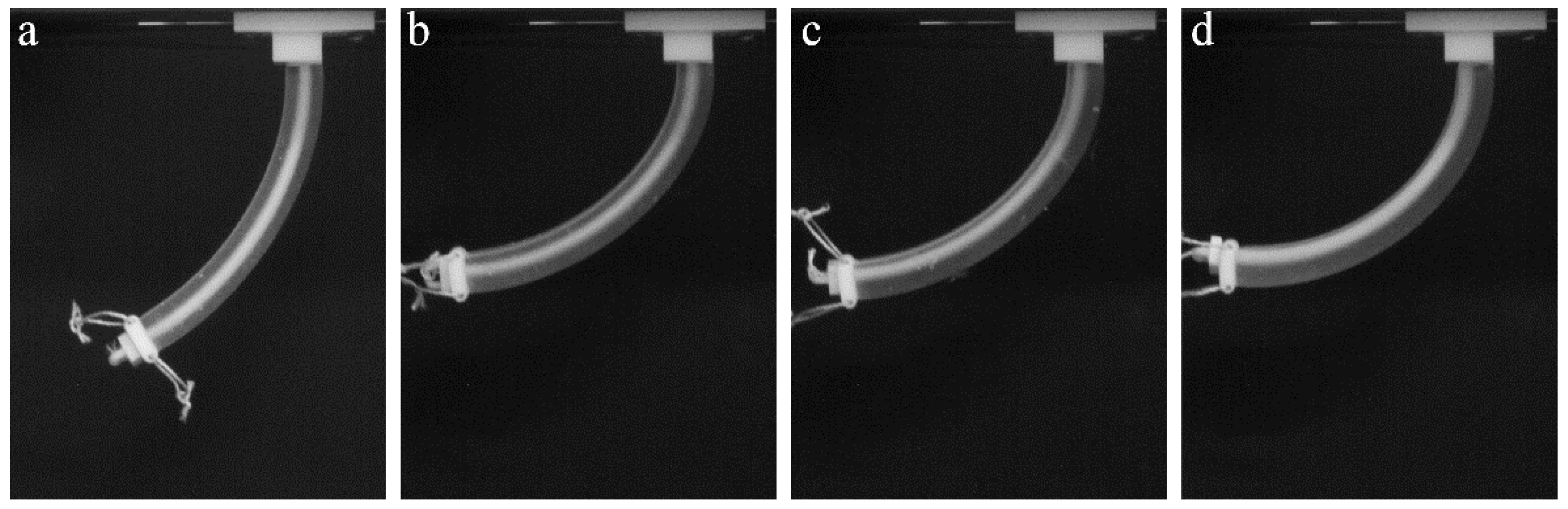 Polymers 10 00846 g005