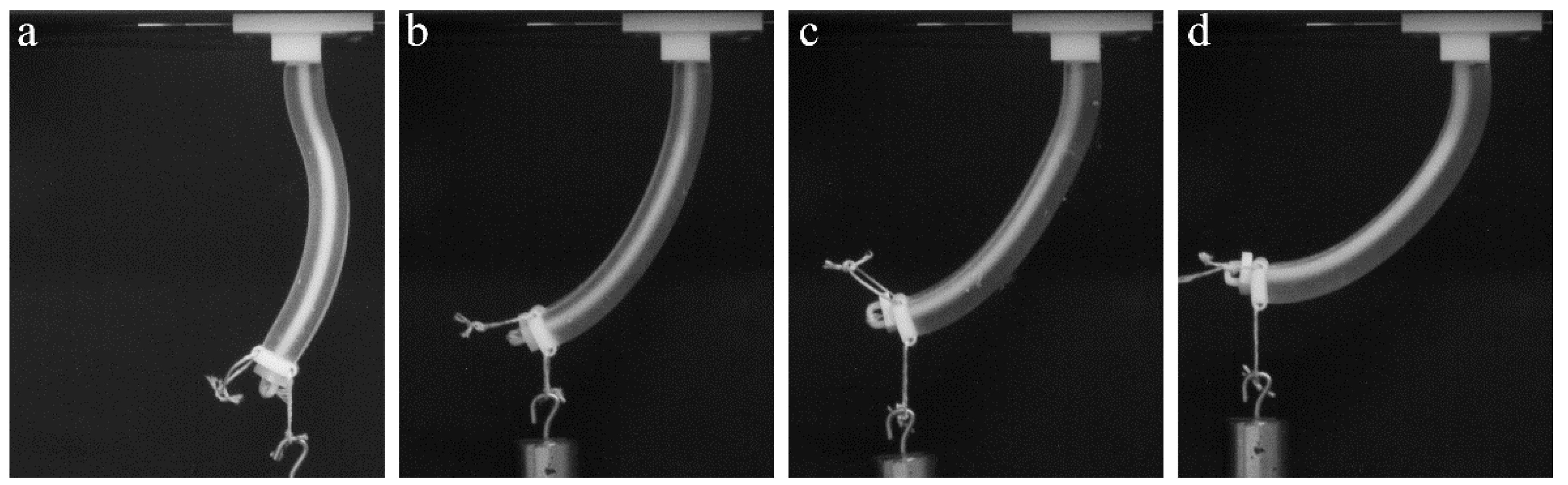 Polymers 10 00846 g006