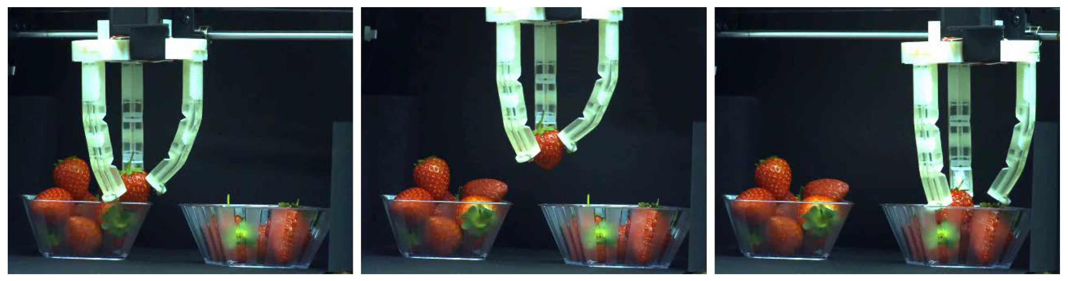 Polymers 10 00846 g013