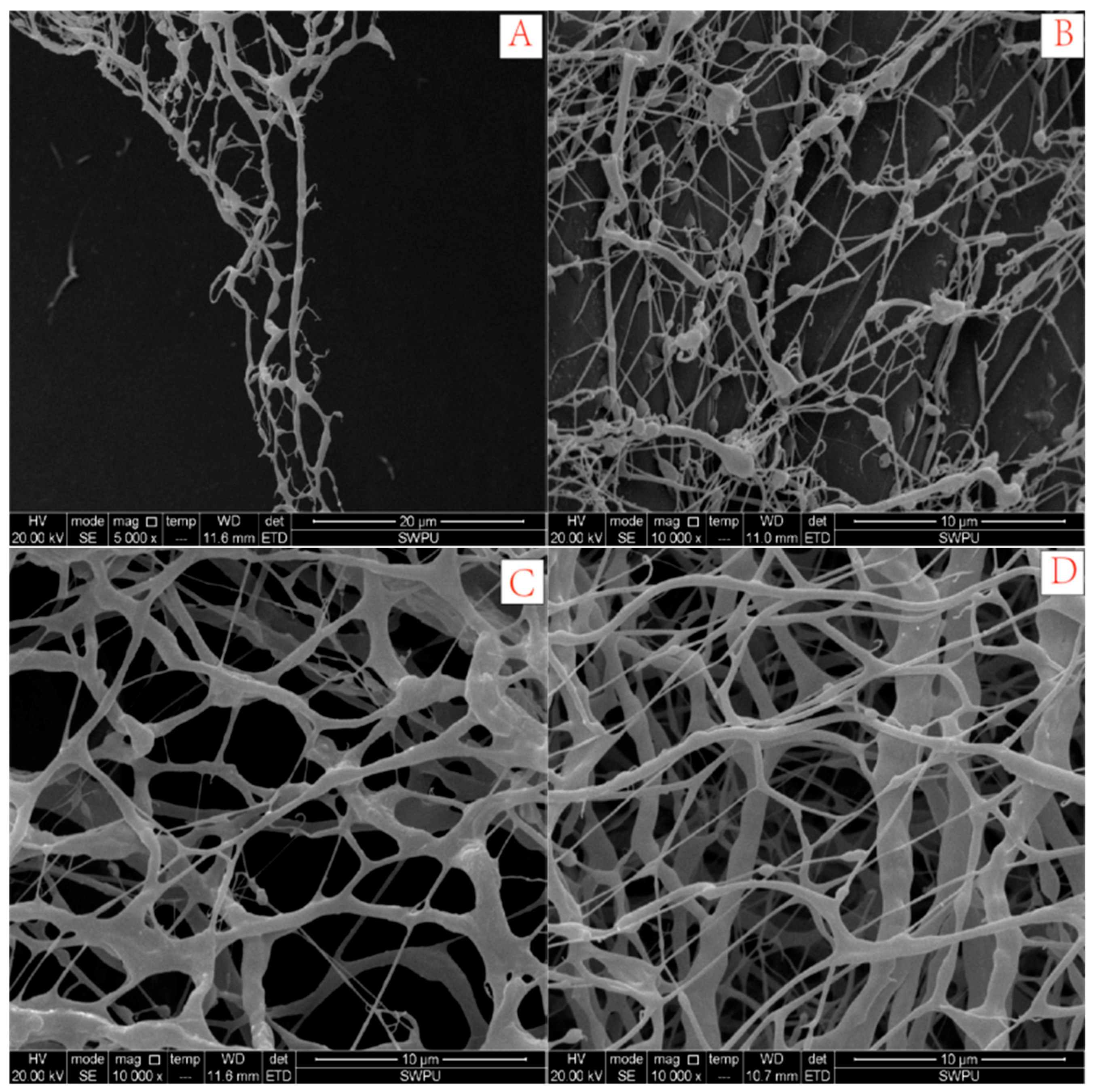 Polymers 10 00849 g006