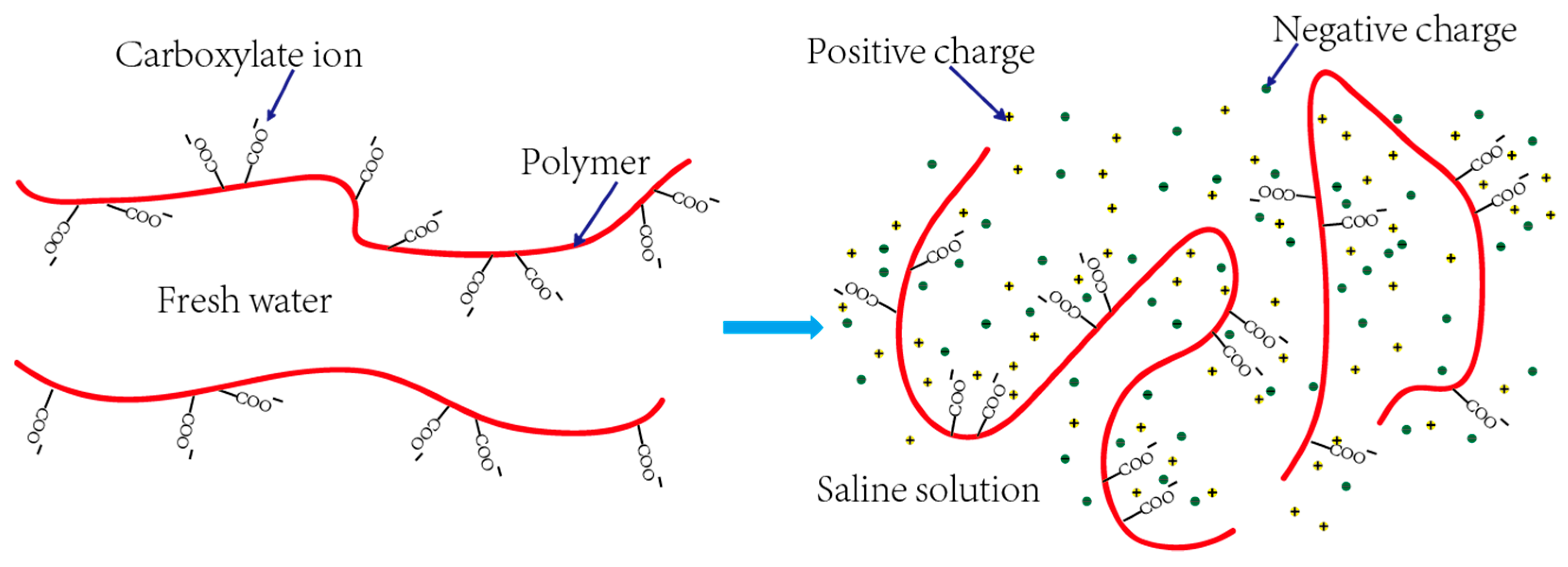 Polymers 10 00849 g007
