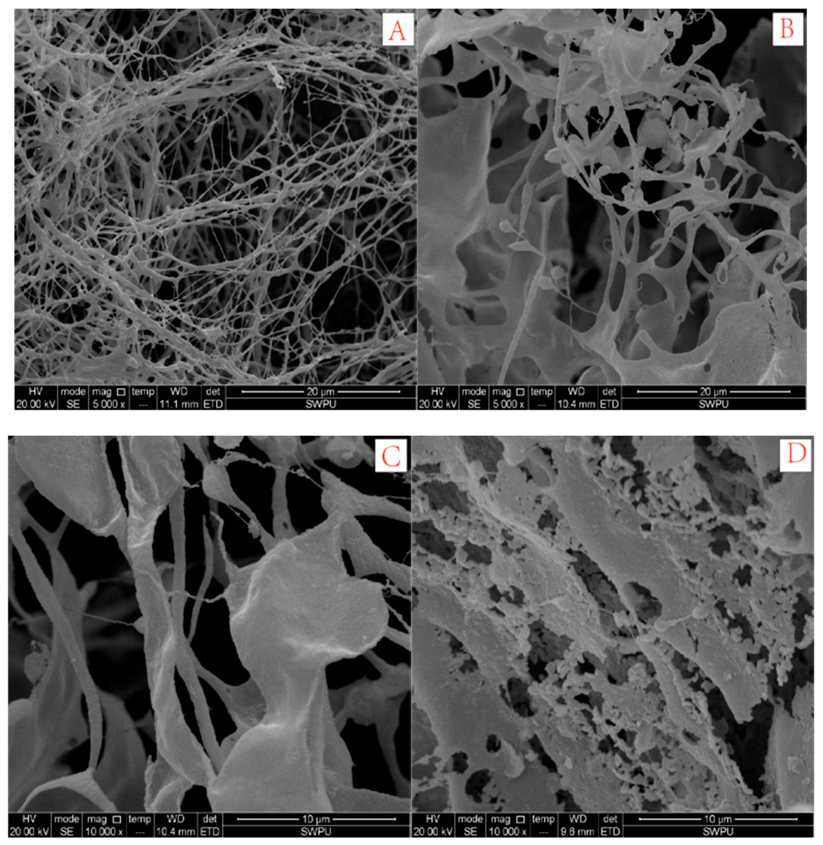 Polymers 10 00849 g011