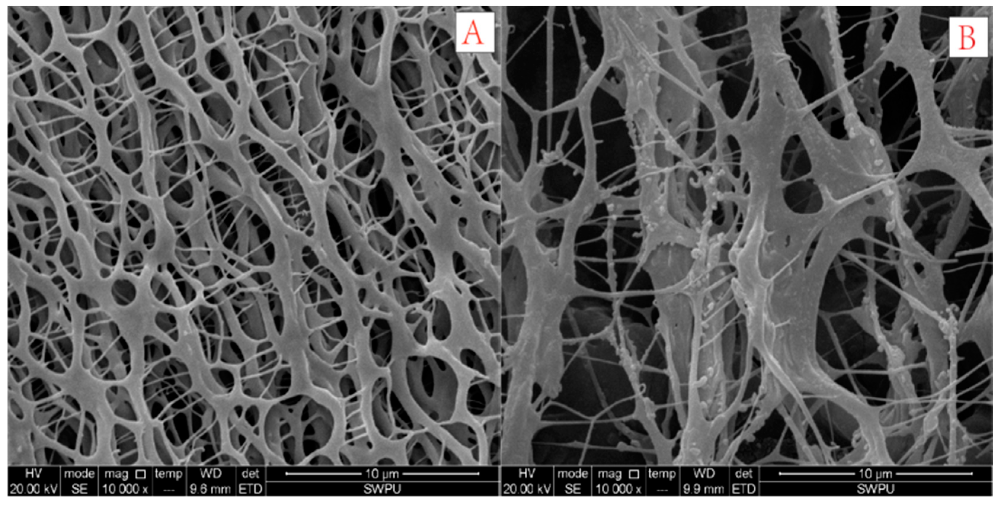 Polymers 10 00849 g017a