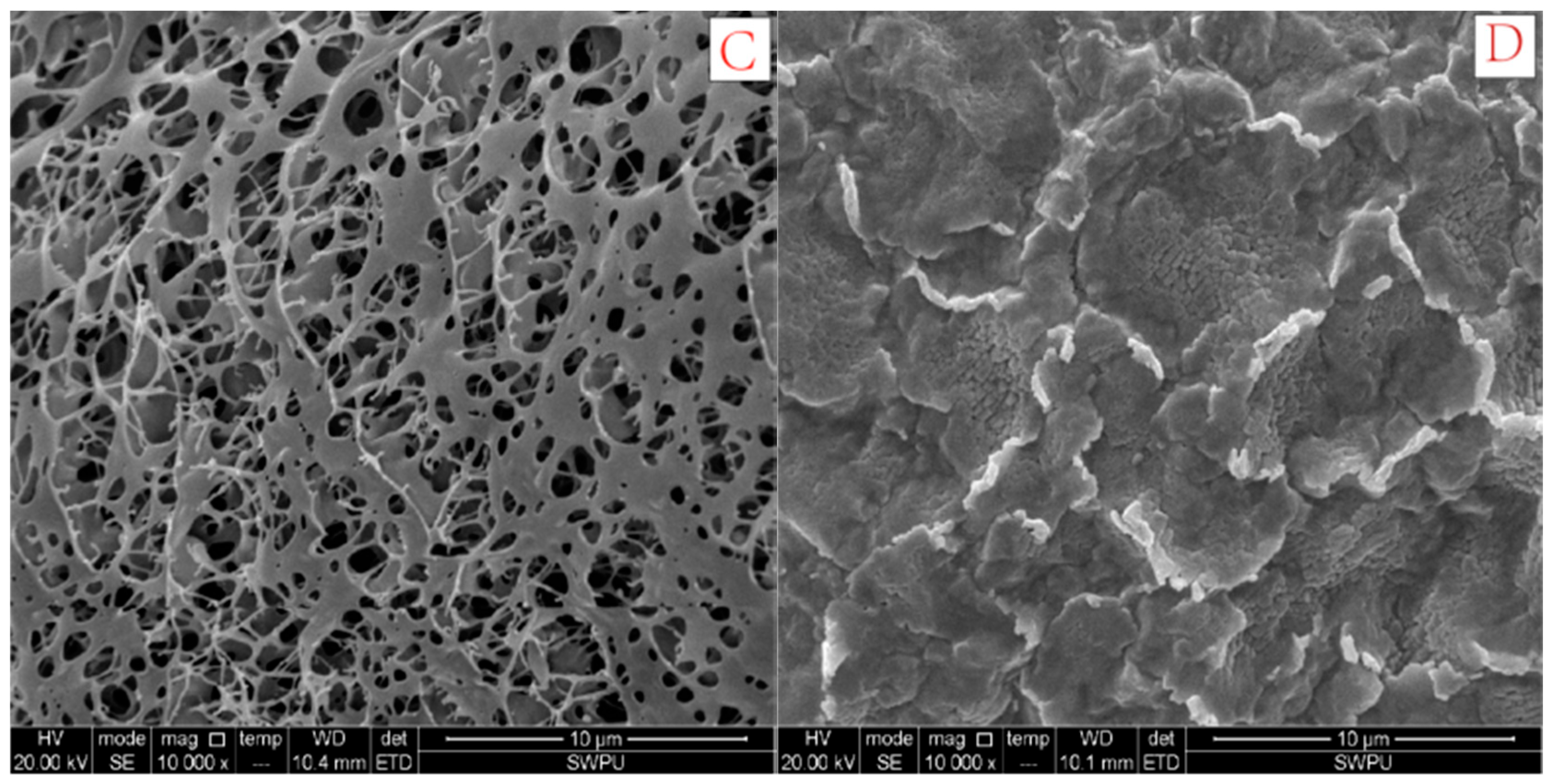Polymers 10 00849 g017b