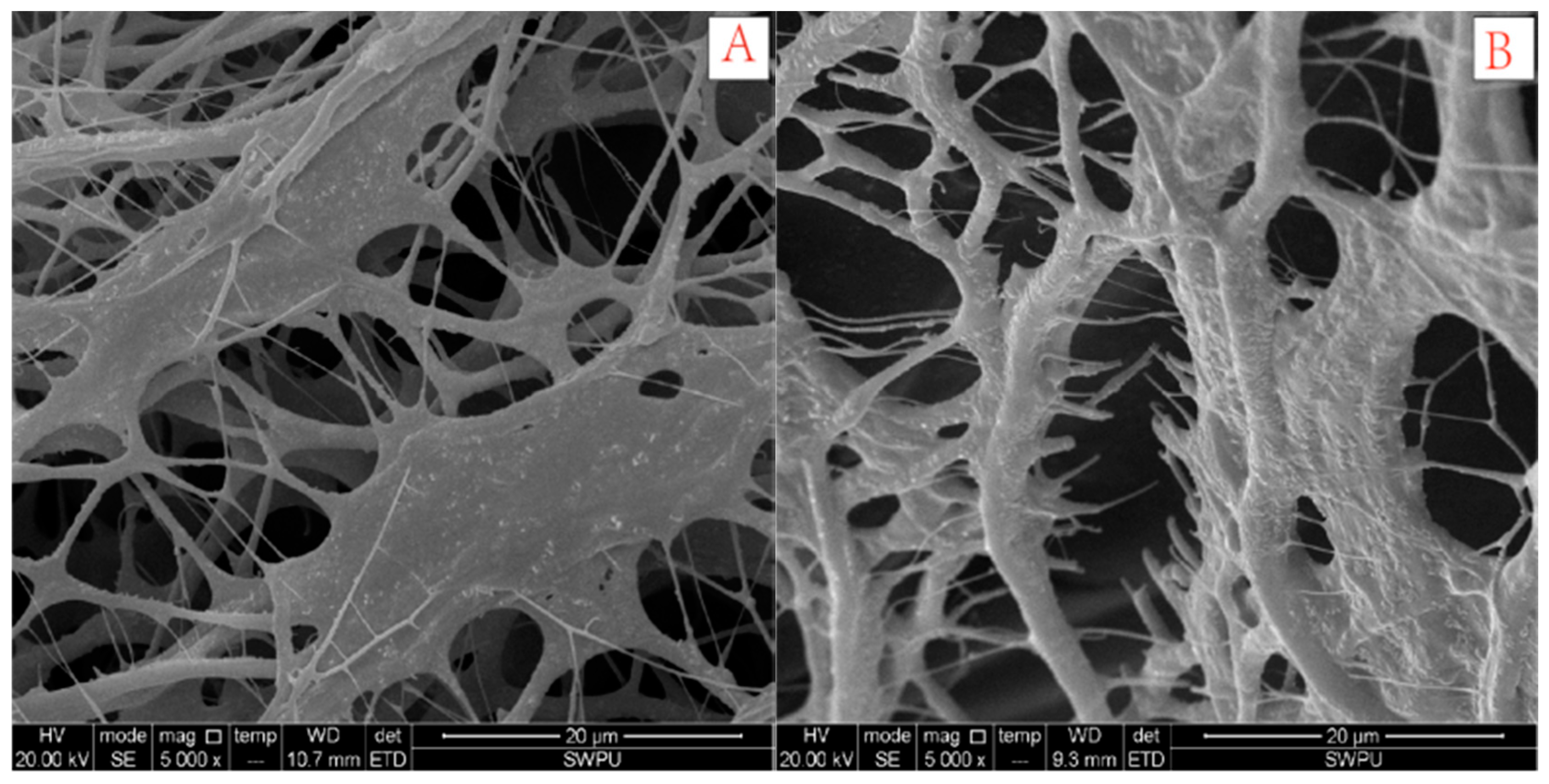 Polymers 10 00849 g018