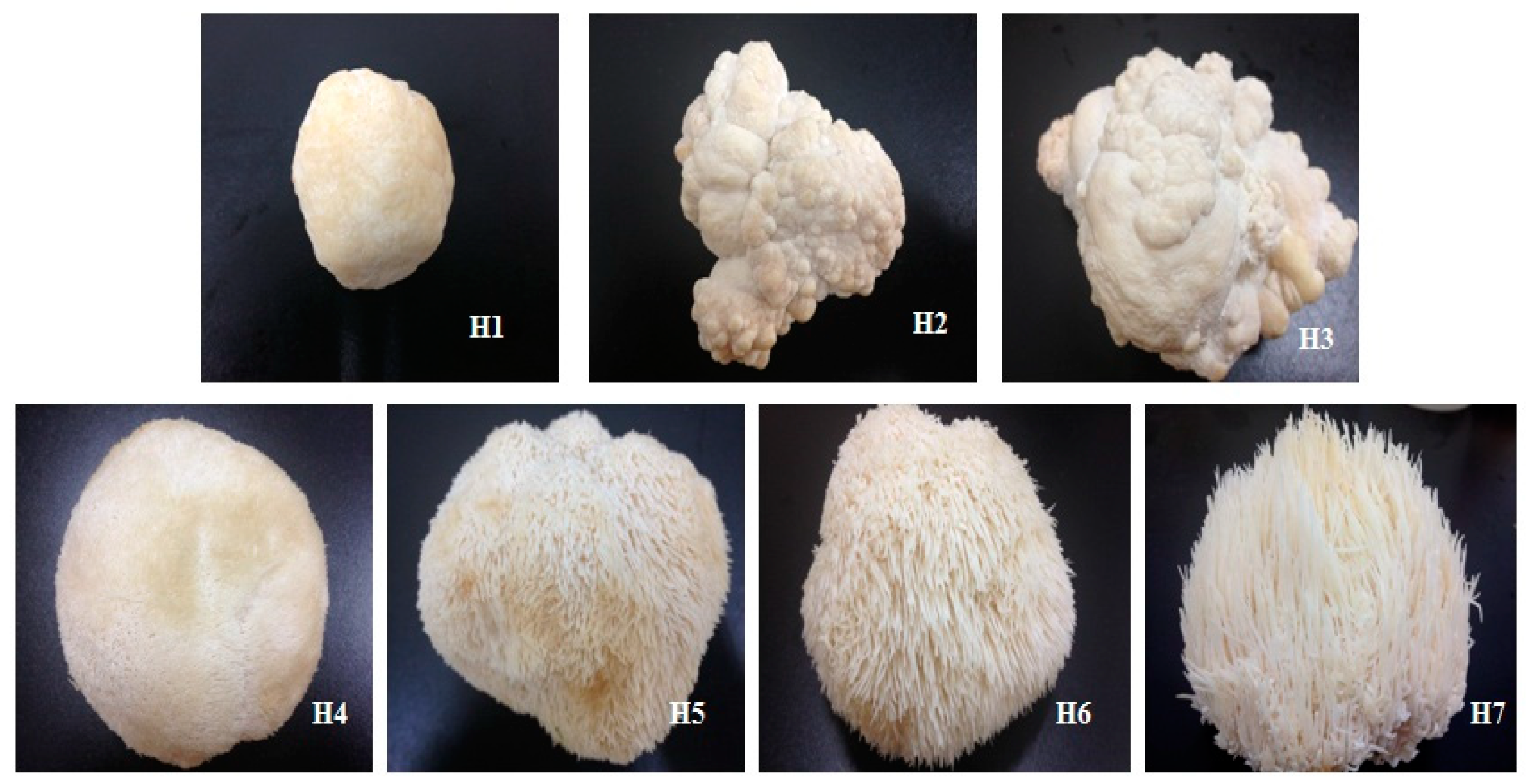 Polymers 10 00850 g001