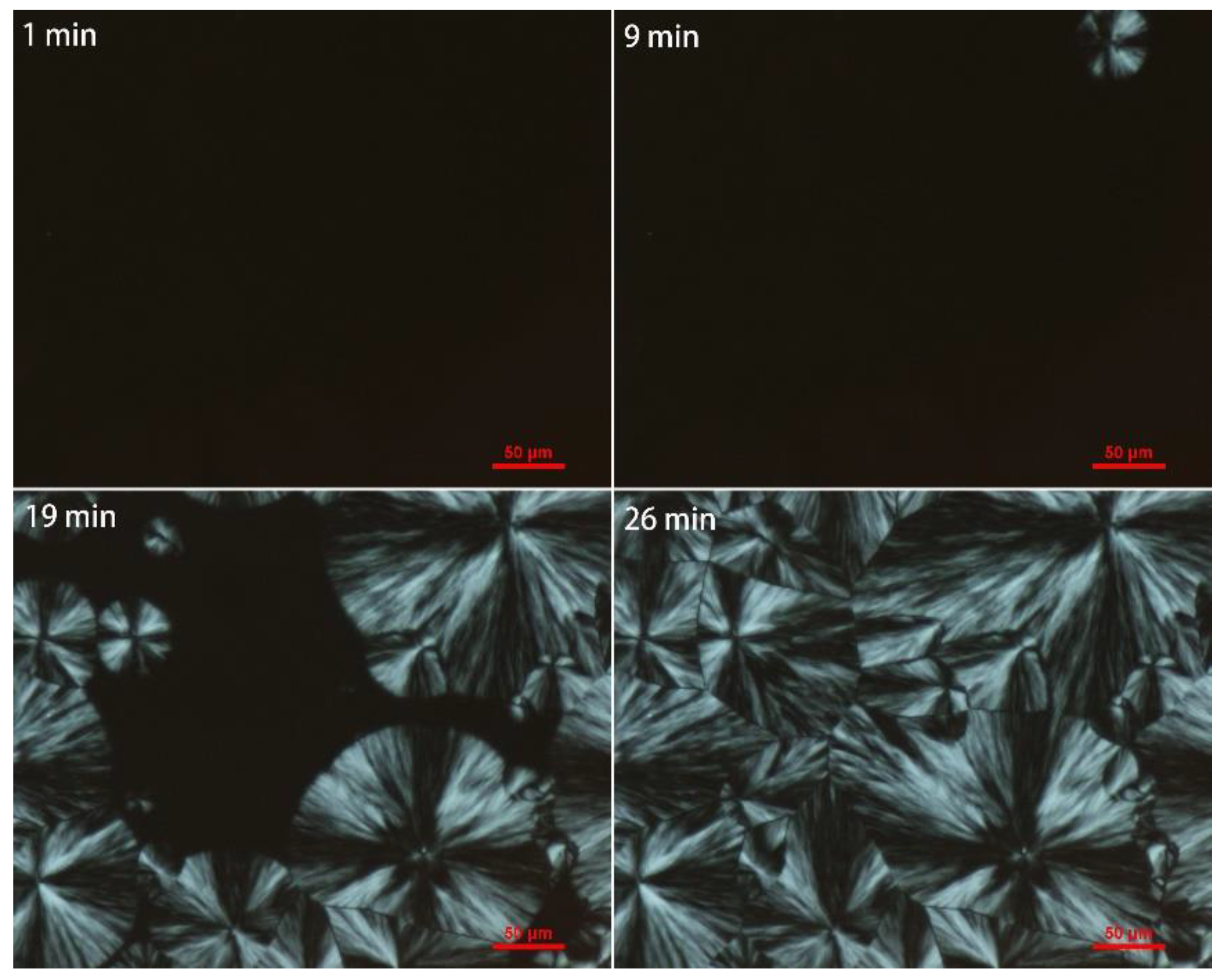 Polymers 10 00872 g011