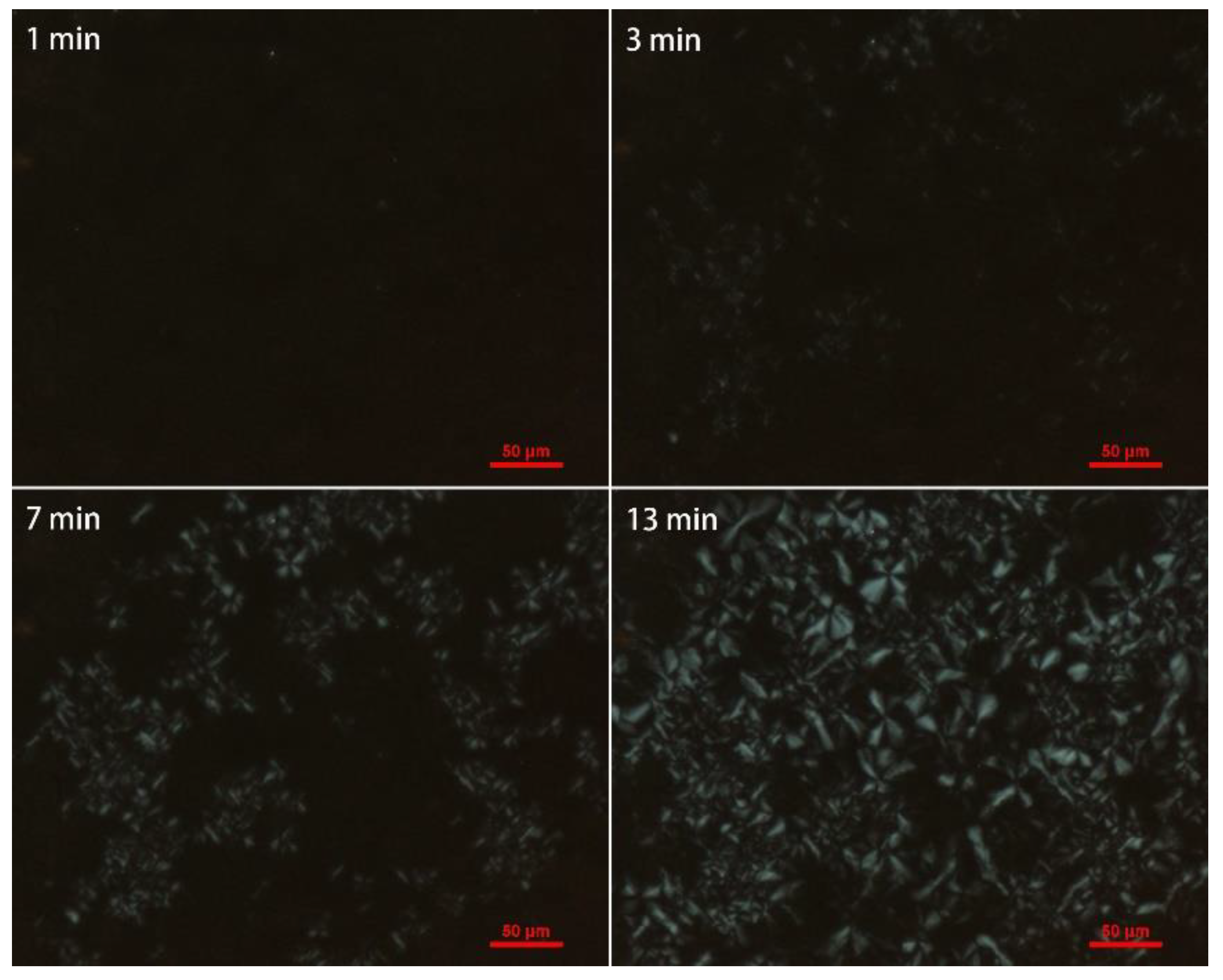 Polymers 10 00872 g012