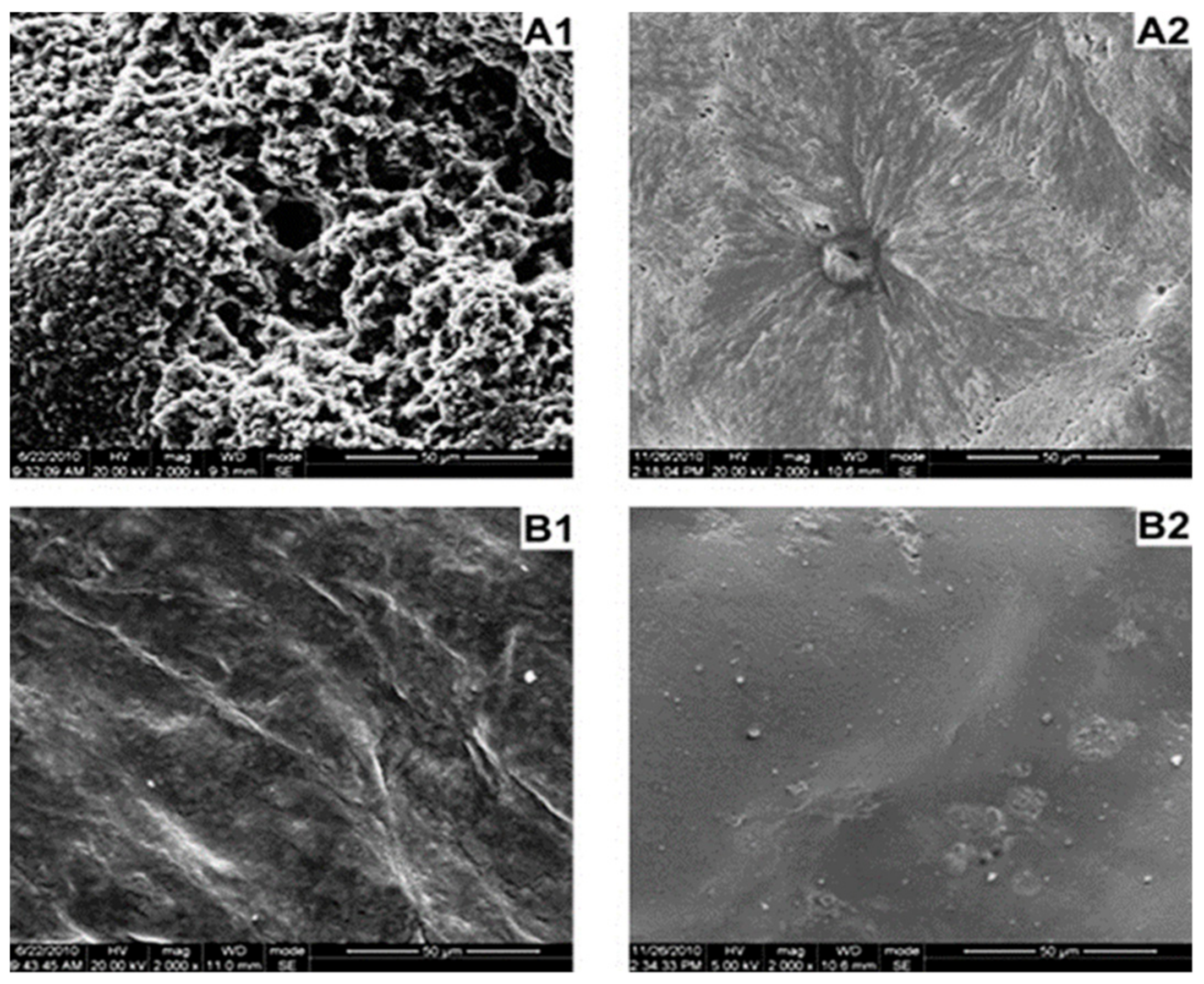 Polymers 10 00876 g006 Polymers 10 00876 g006