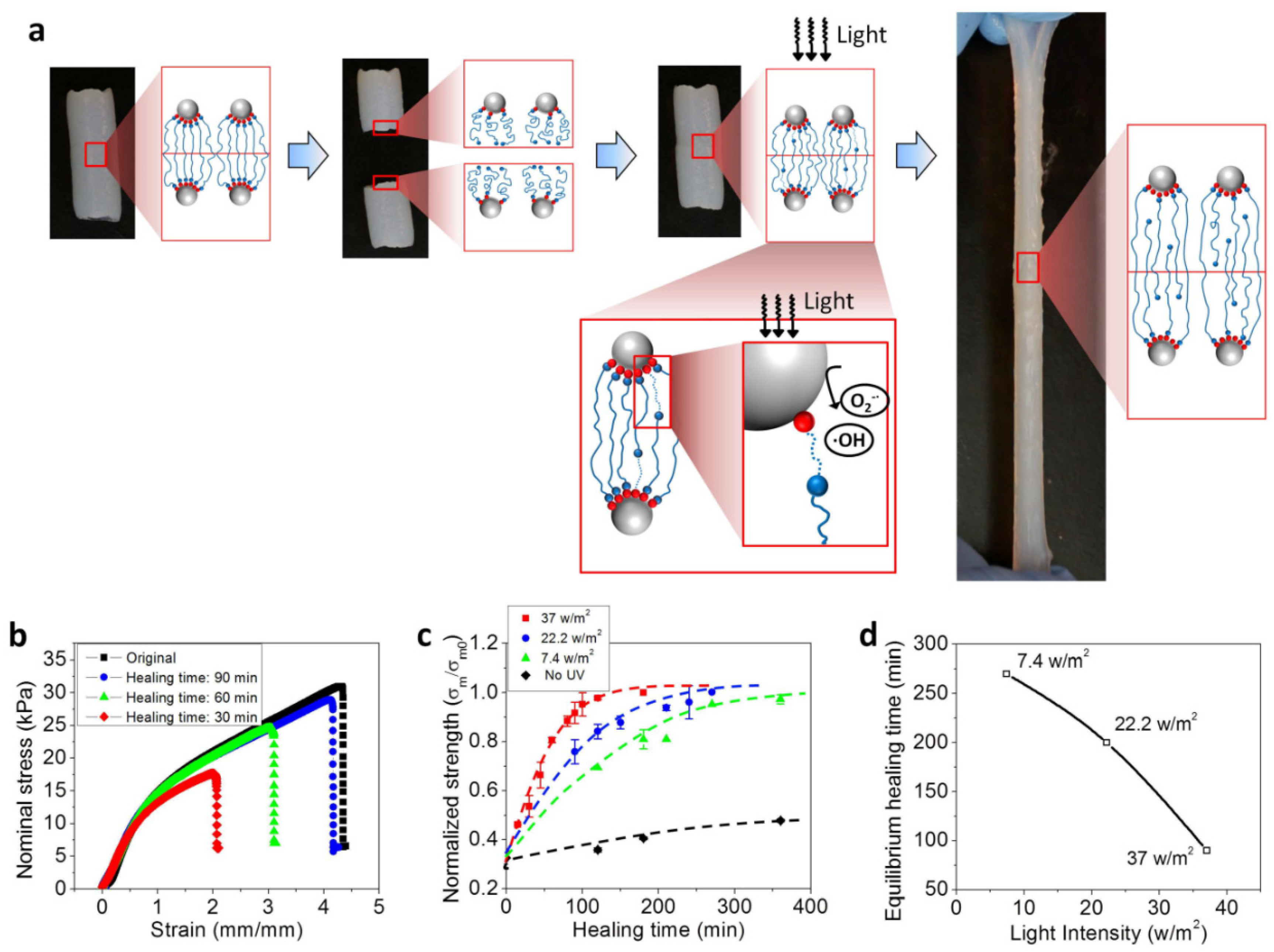 Polymers 10 00880 g002 Polymers 10 00880 g002