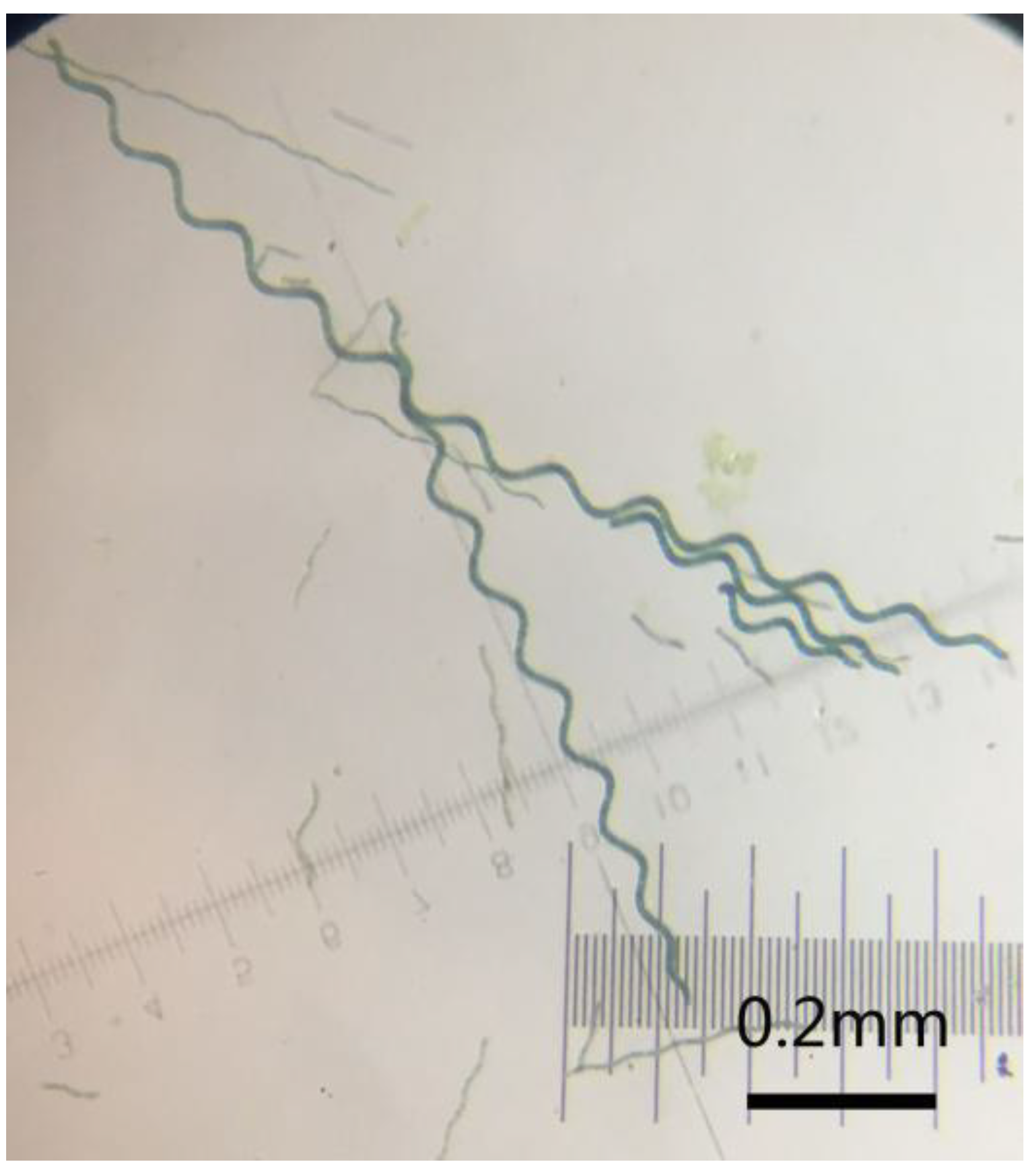 Polymers 10 00882 g001