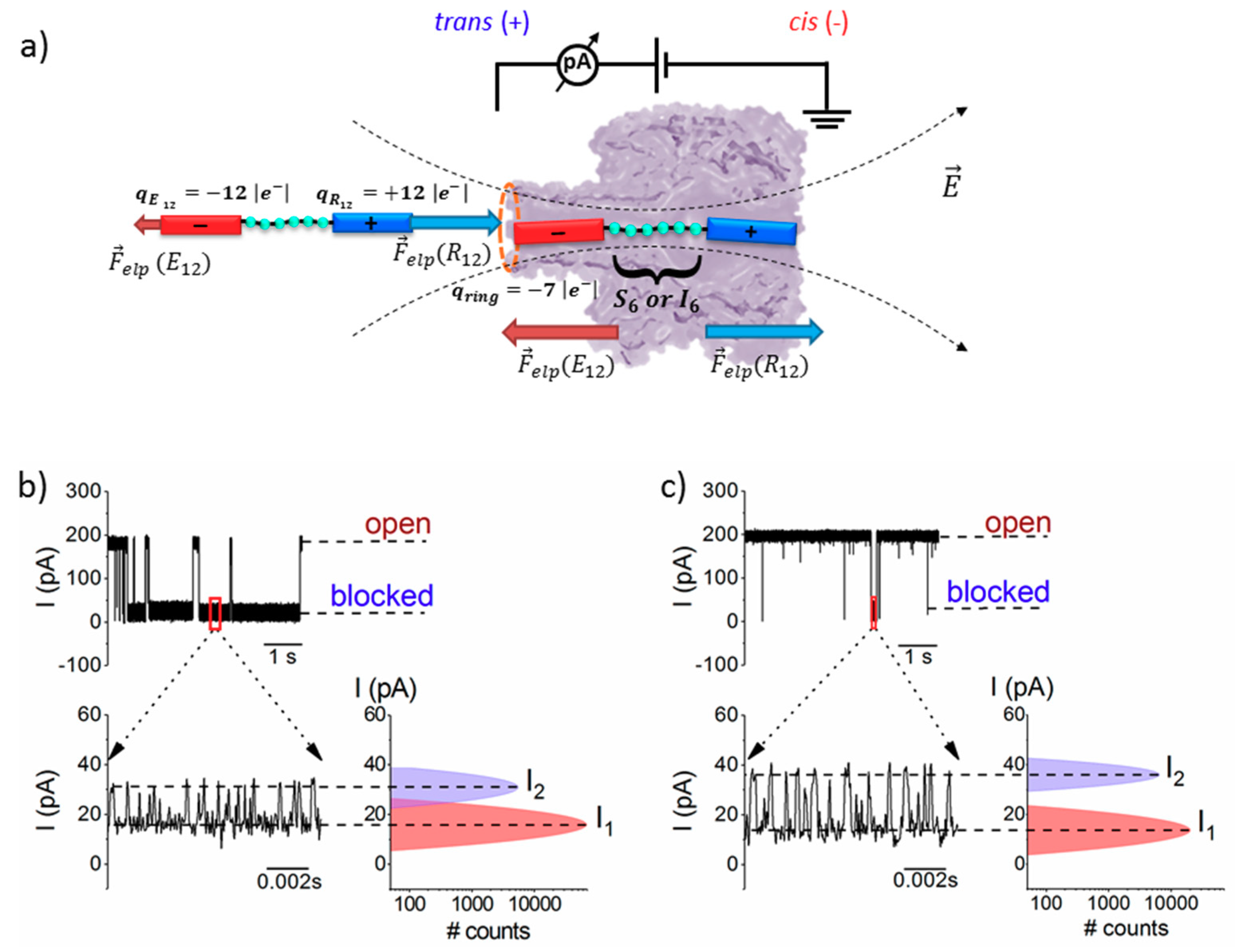 Polymers 10 00885 g001