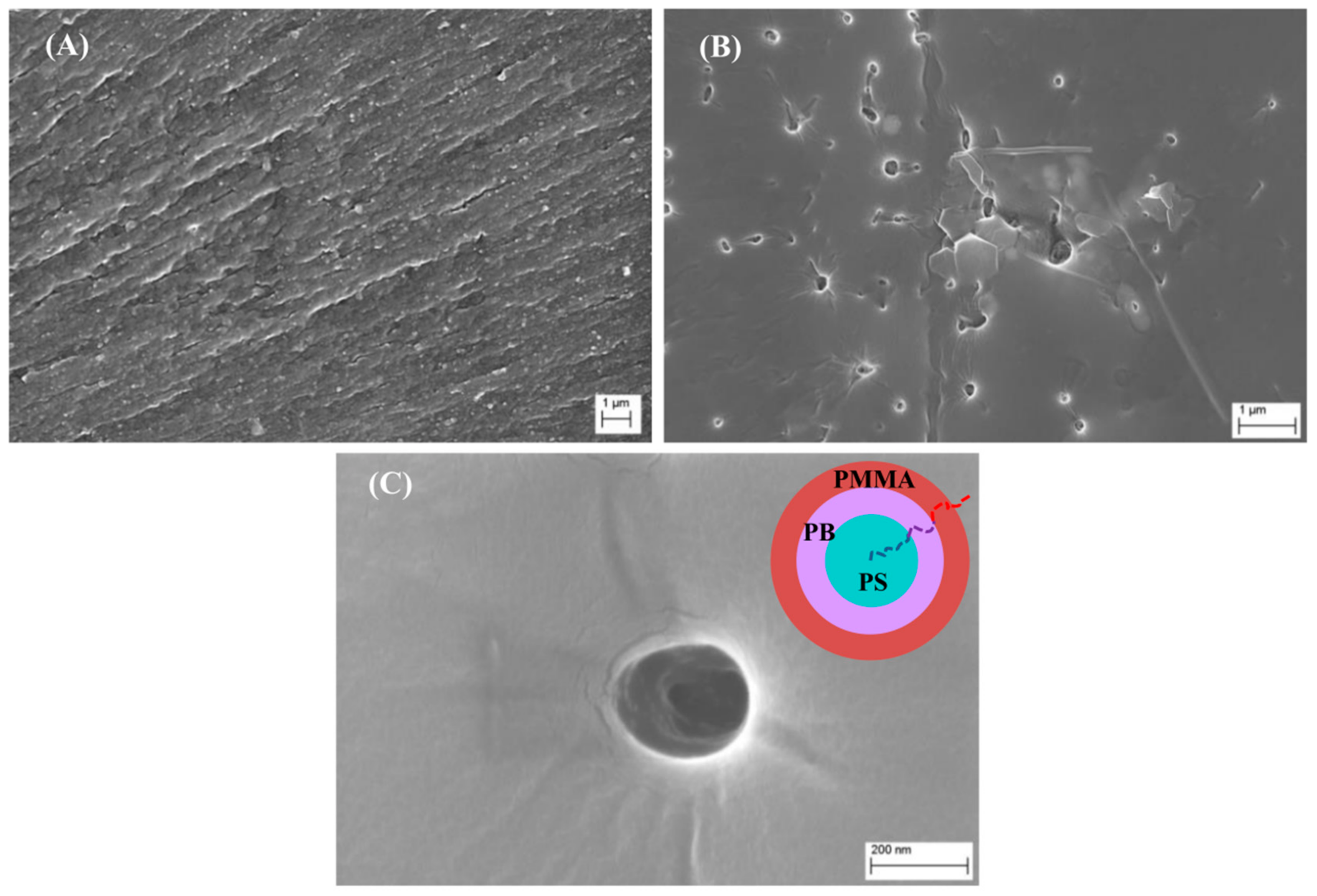 Polymers 10 00888 g014