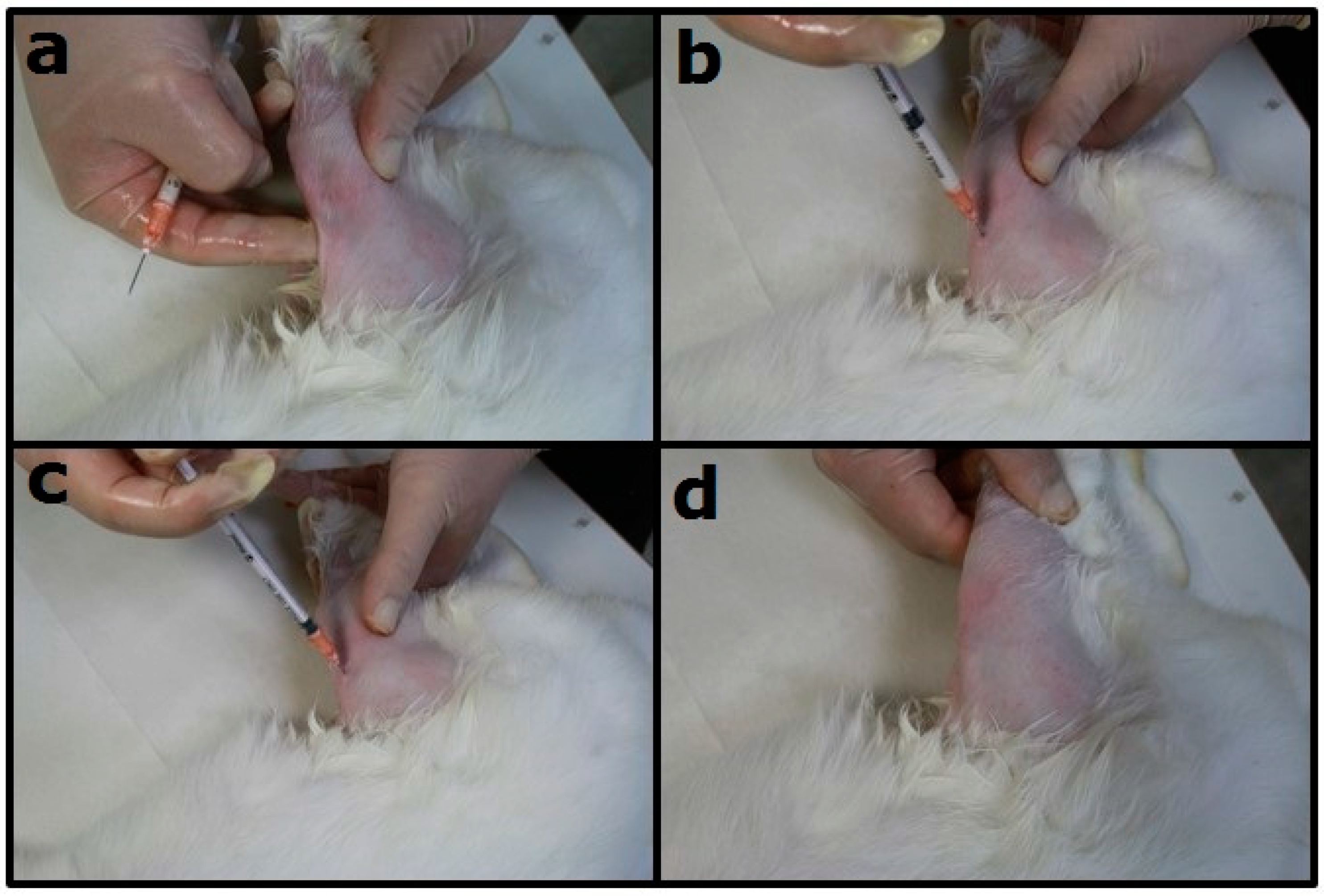 Polymers 10 00890 g002 Polymers 10 00890 g002