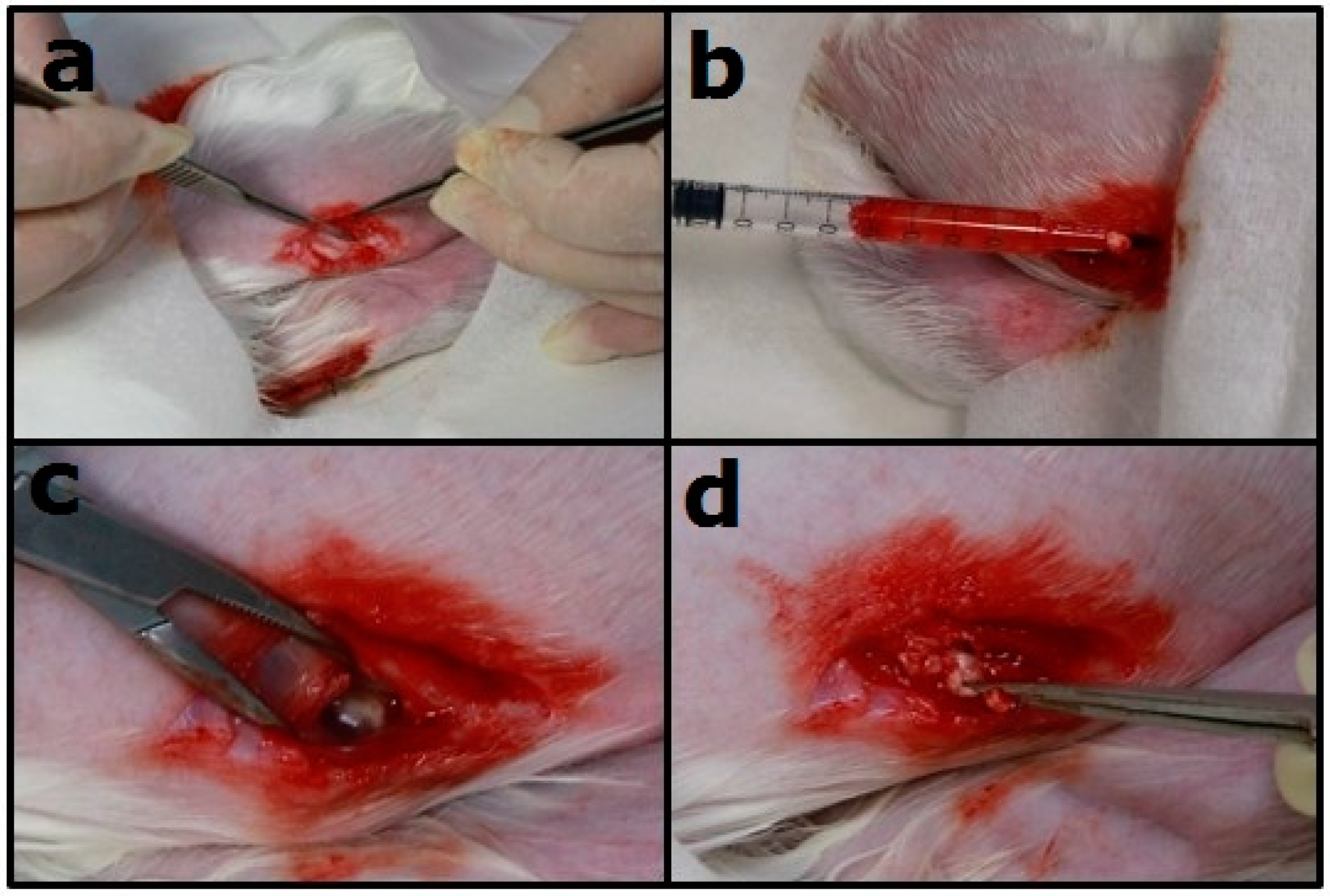 Polymers 10 00890 g003 Polymers 10 00890 g003