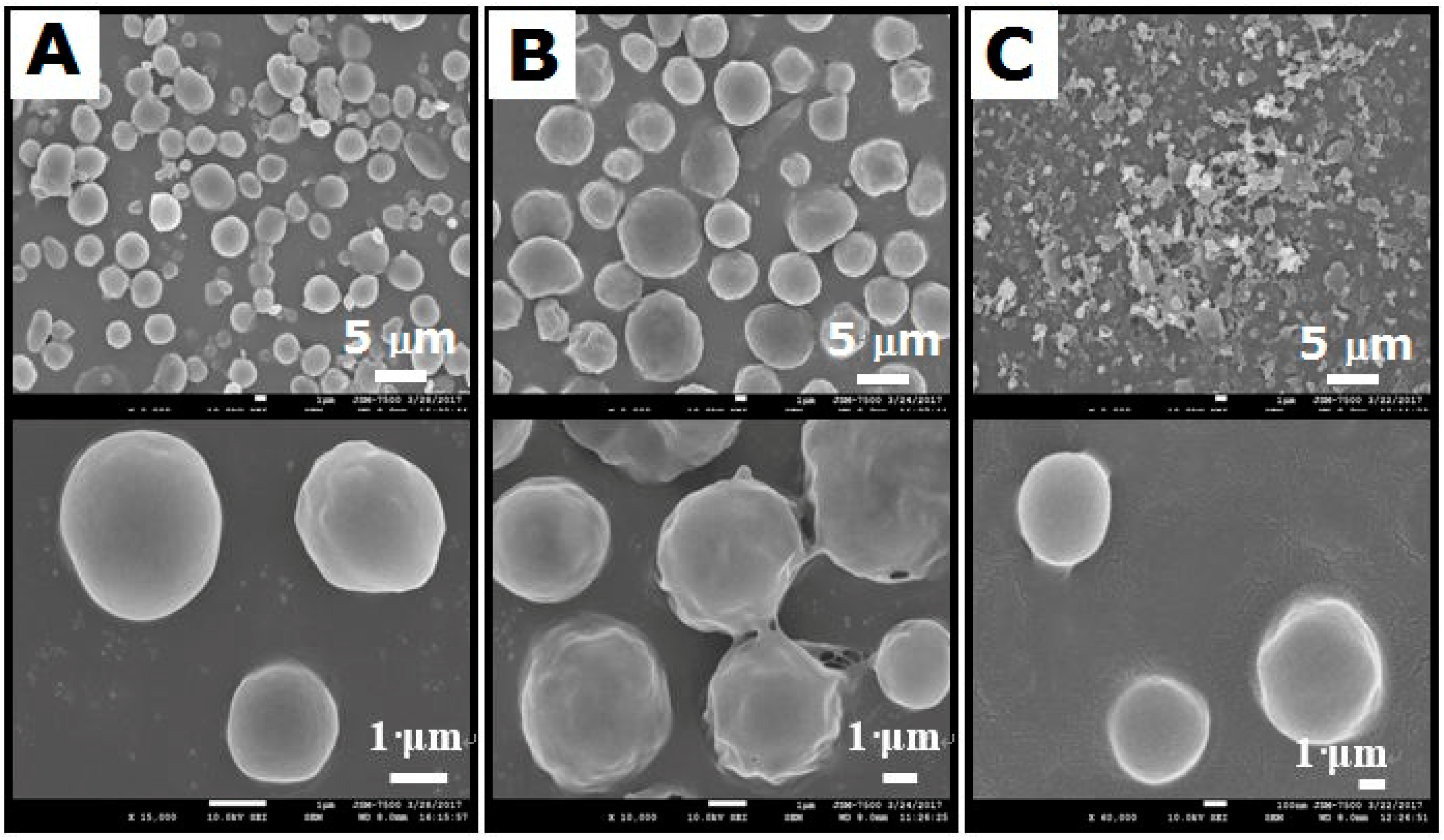 Polymers 10 00890 g004 Polymers 10 00890 g004