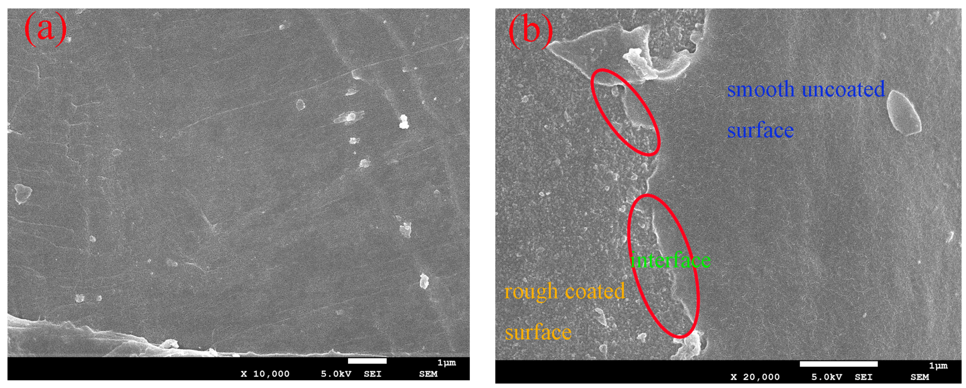 Polymers 10 00896 g001
