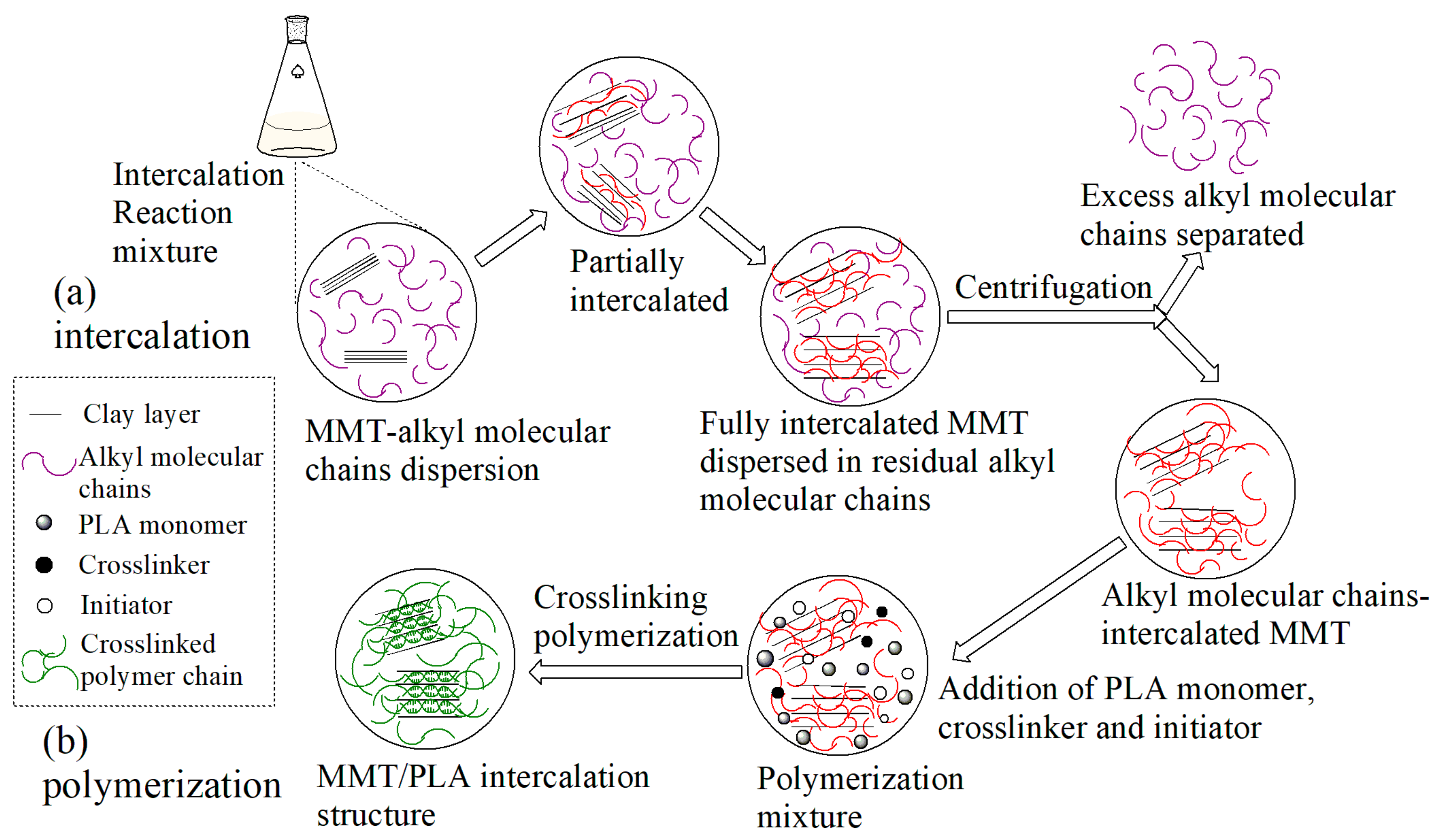 Polymers 10 00896 g004