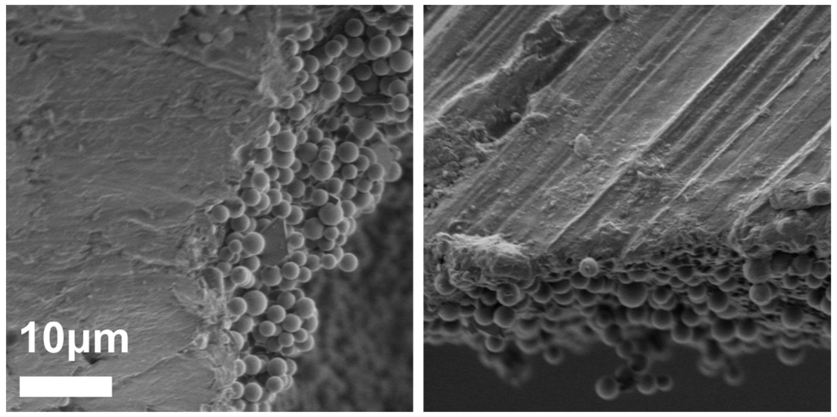 Polymers 10 00900 g004 Polymers 10 00900 g004