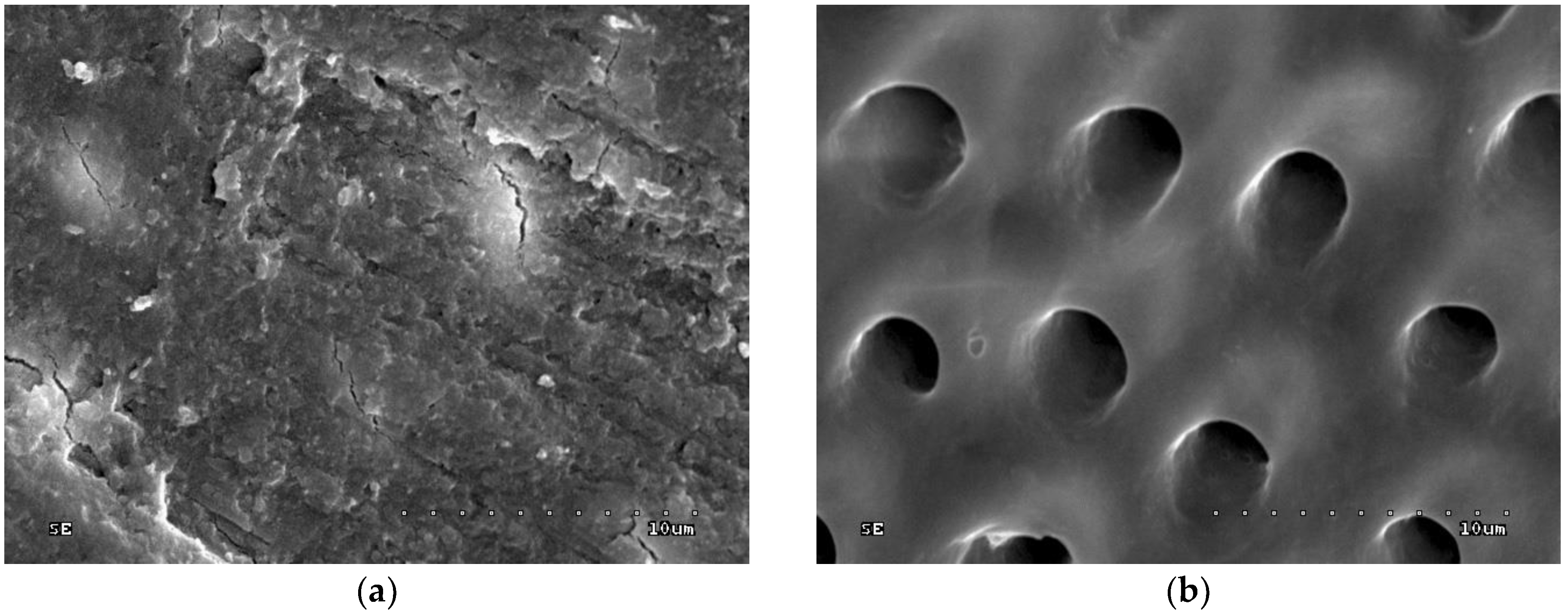 Polymers 10 00905 g001 Polymers 10 00905 g001