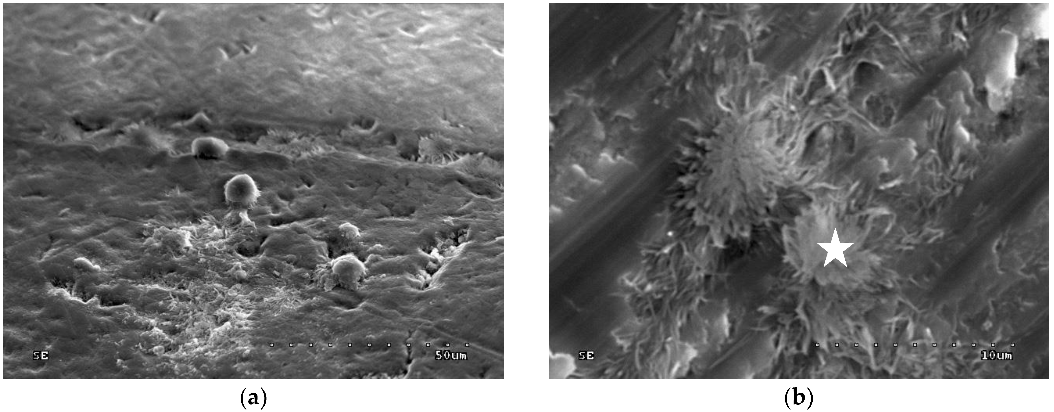 Polymers 10 00905 g002 Polymers 10 00905 g002