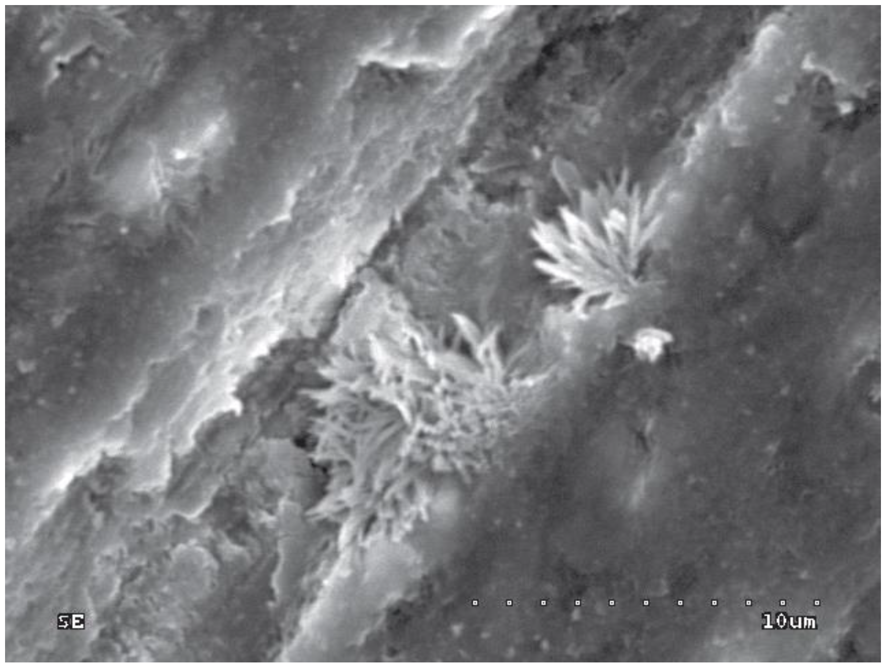 Polymers 10 00905 g004 Polymers 10 00905 g004