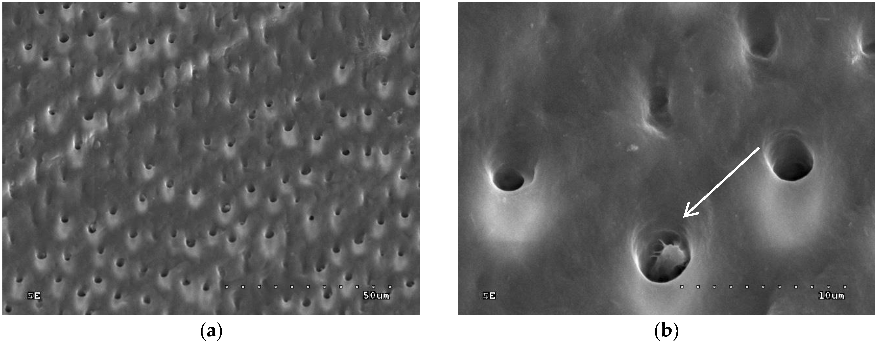 Polymers 10 00905 g006 Polymers 10 00905 g006