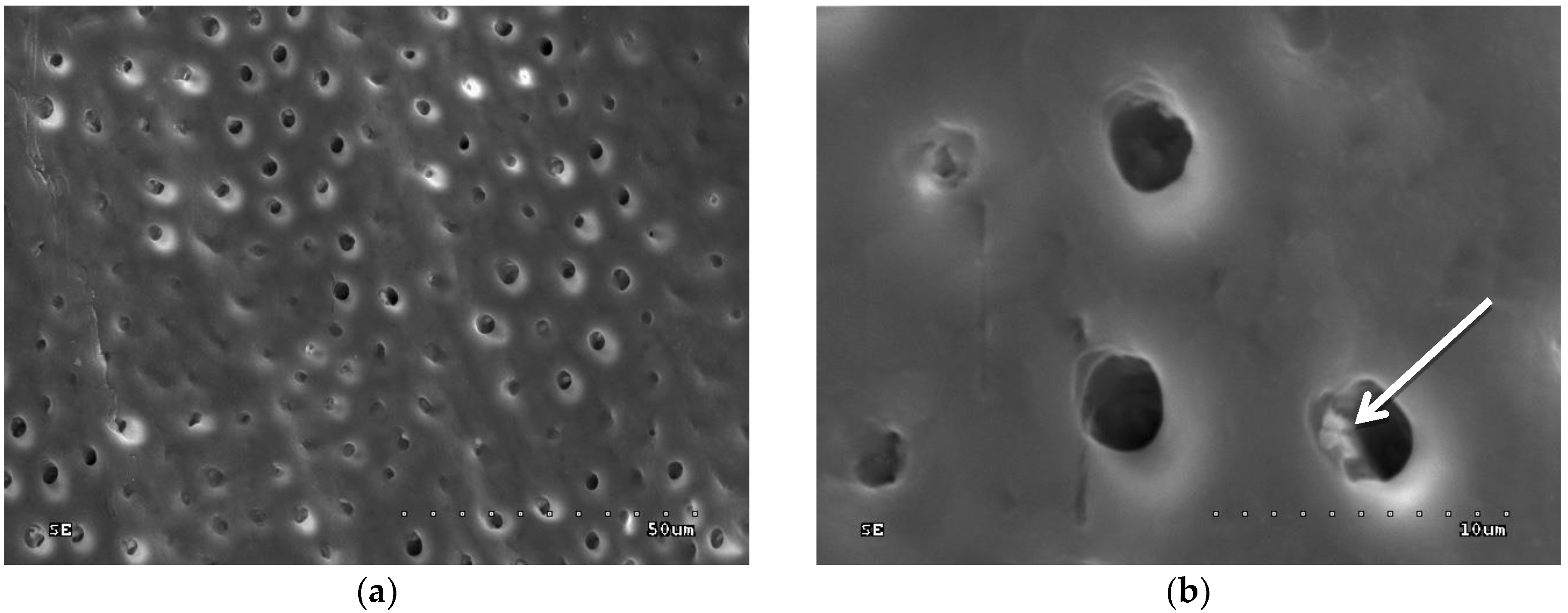Polymers 10 00905 g008 Polymers 10 00905 g008