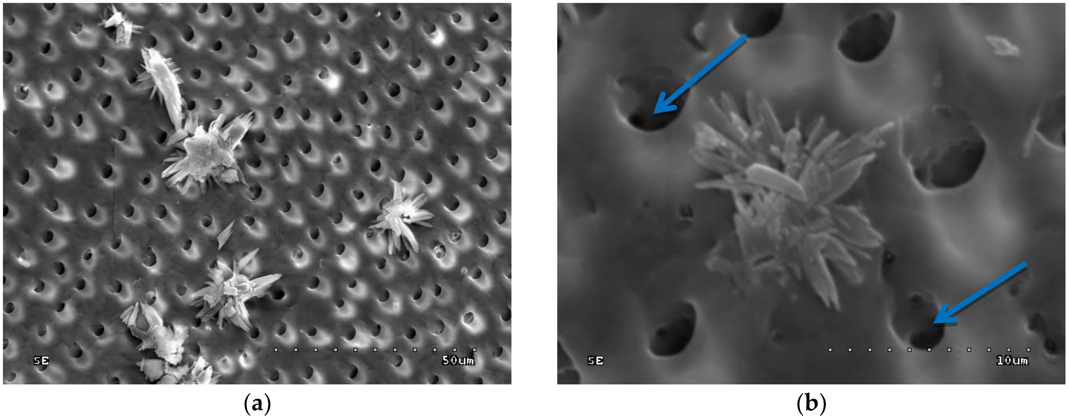Polymers 10 00905 g009 Polymers 10 00905 g009