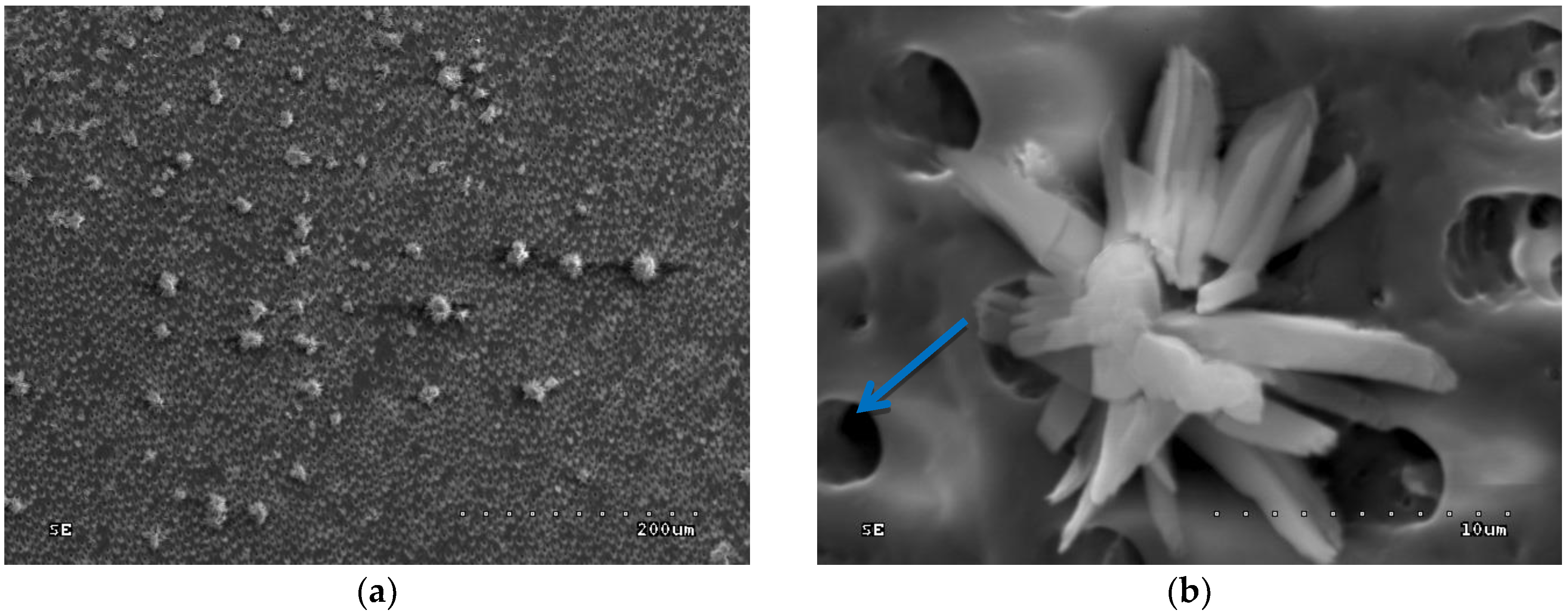 Polymers 10 00905 g010 Polymers 10 00905 g010
