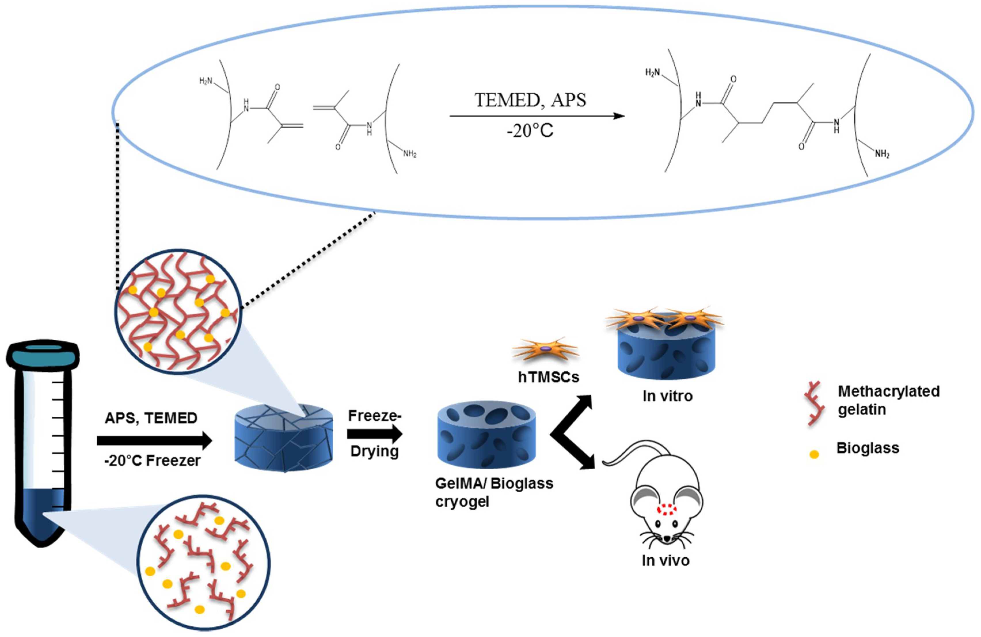 Polymers 10 00914 g001