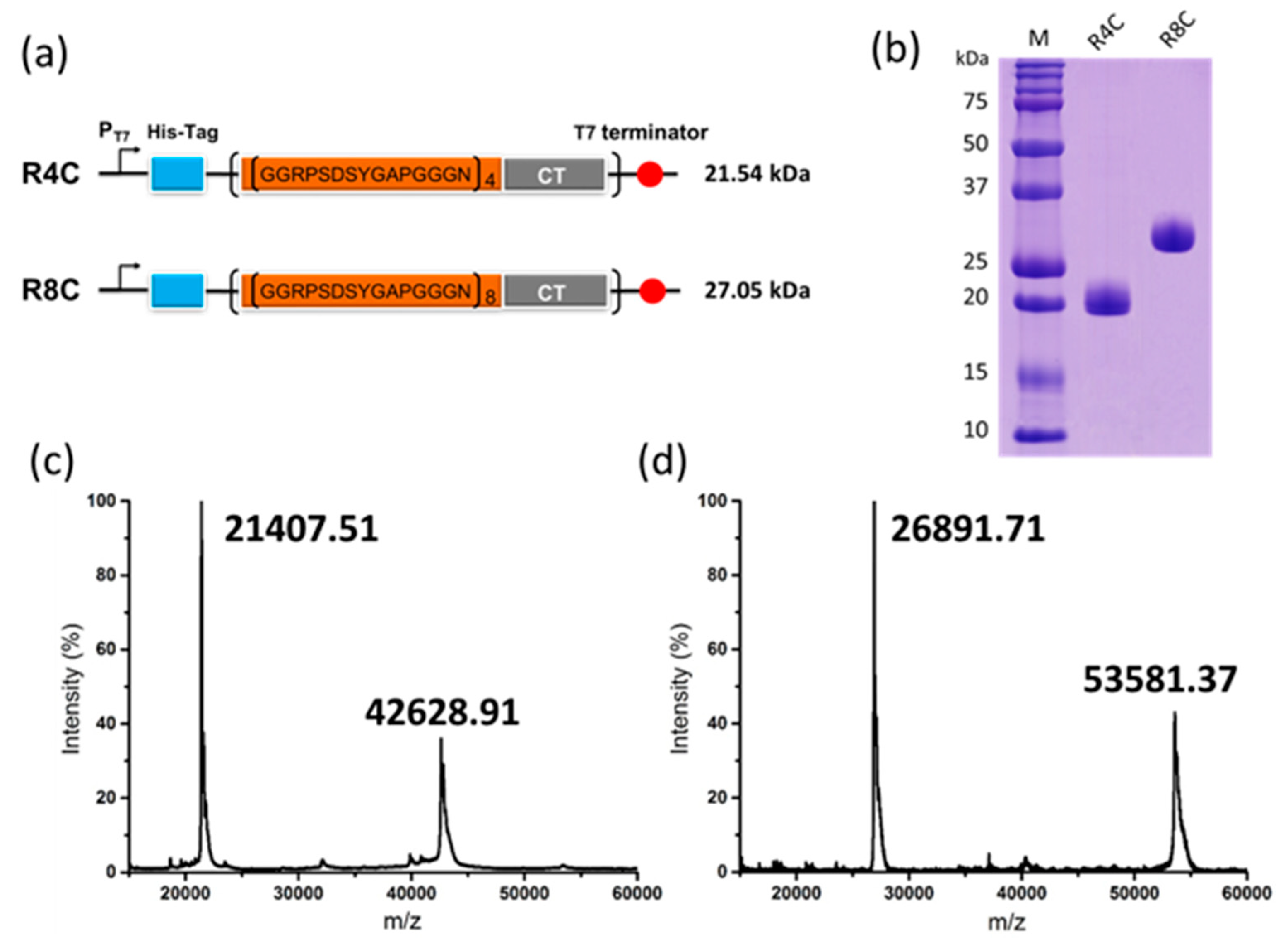 Polymers 10 00915 g001 Polymers 10 00915 g001