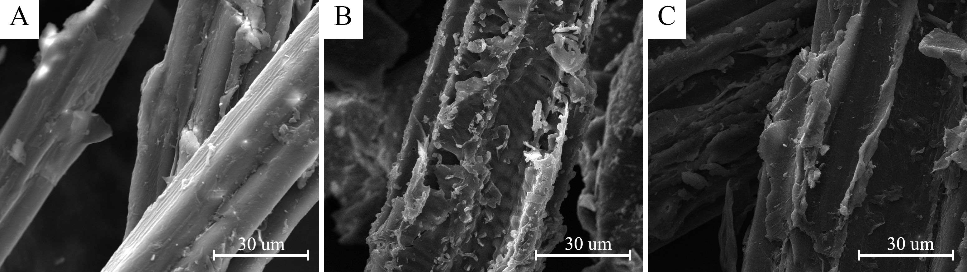 Polymers 10 00920 g004