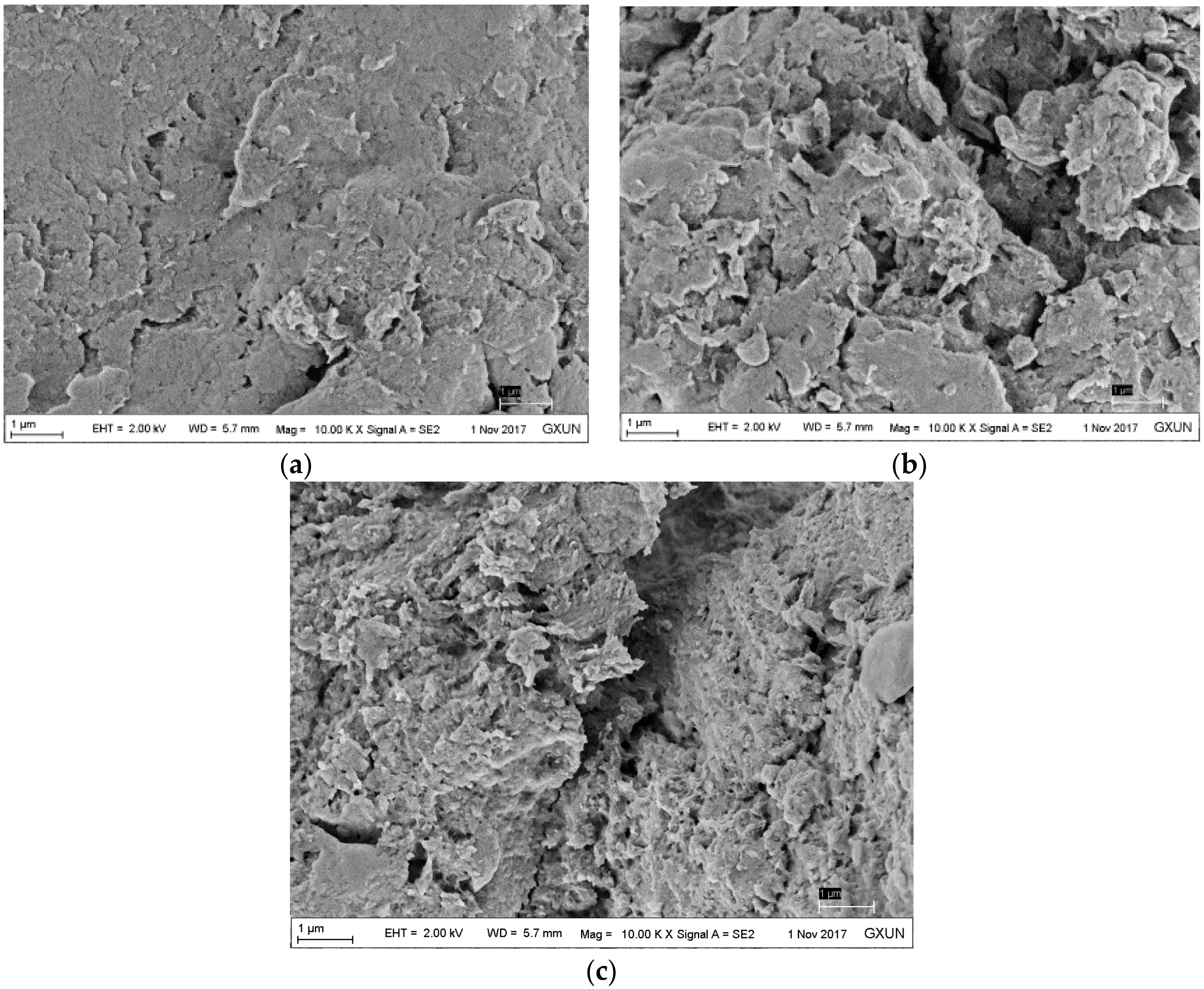 Polymers 10 00931 g002