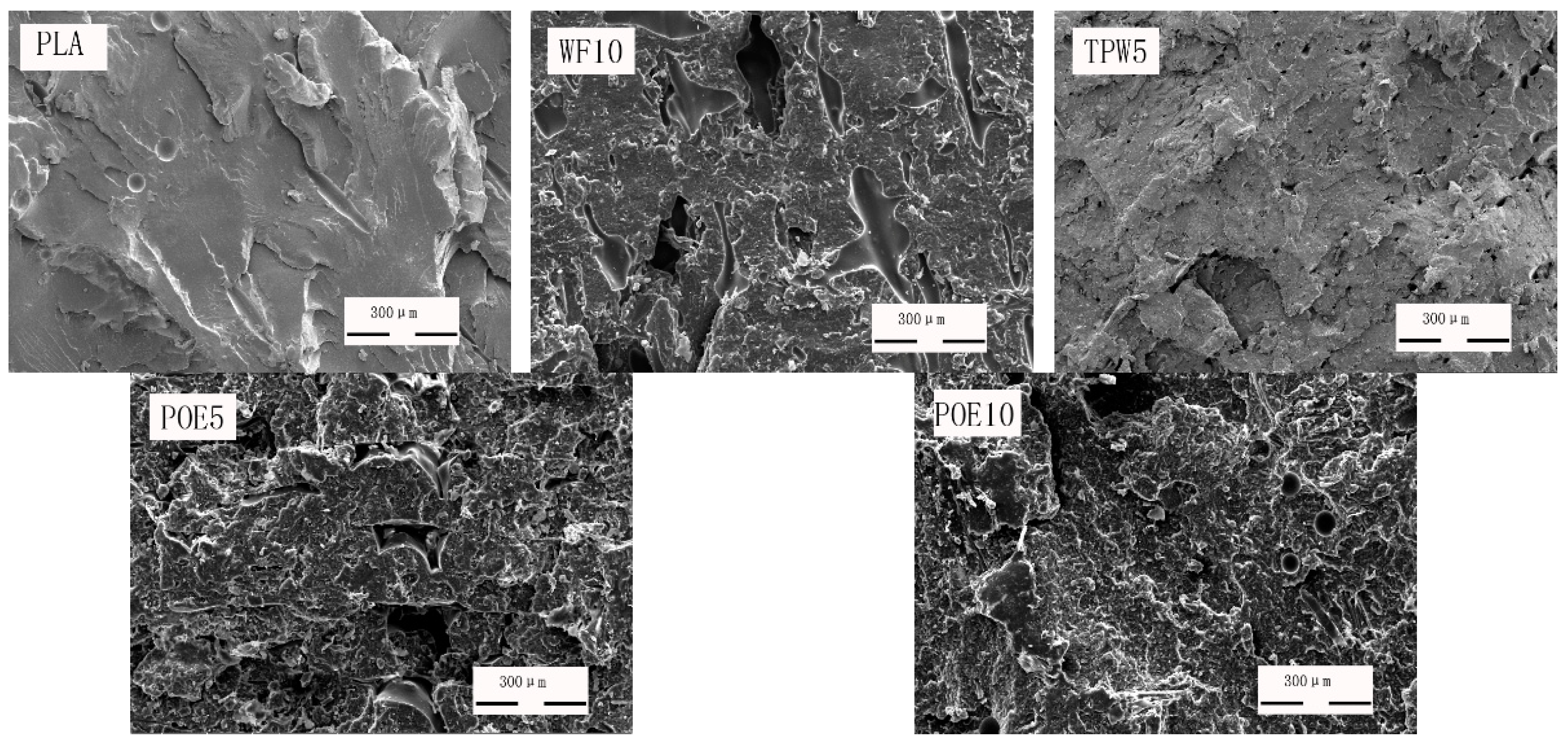 Polymers 10 00932 g007a