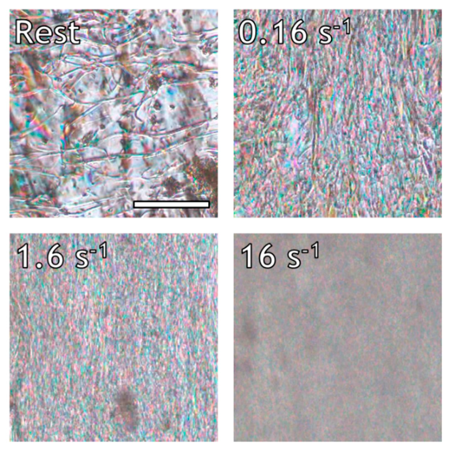 Polymers 10 00935 g003