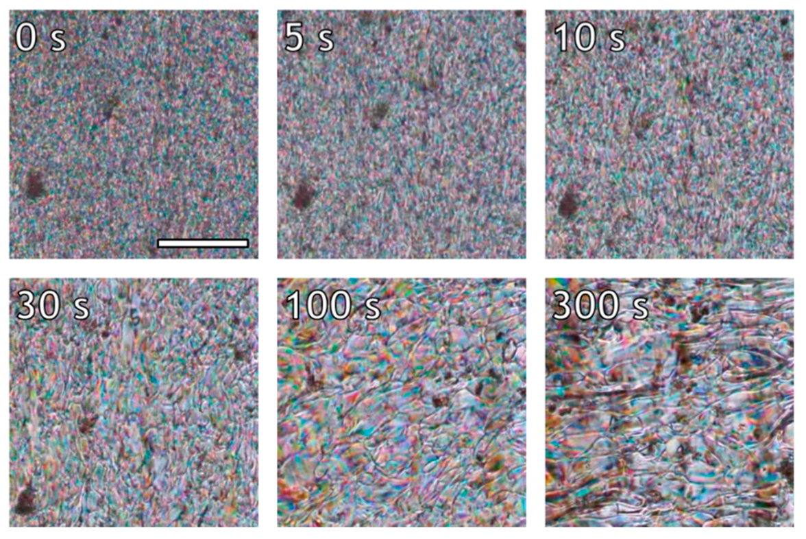 Polymers 10 00935 g005