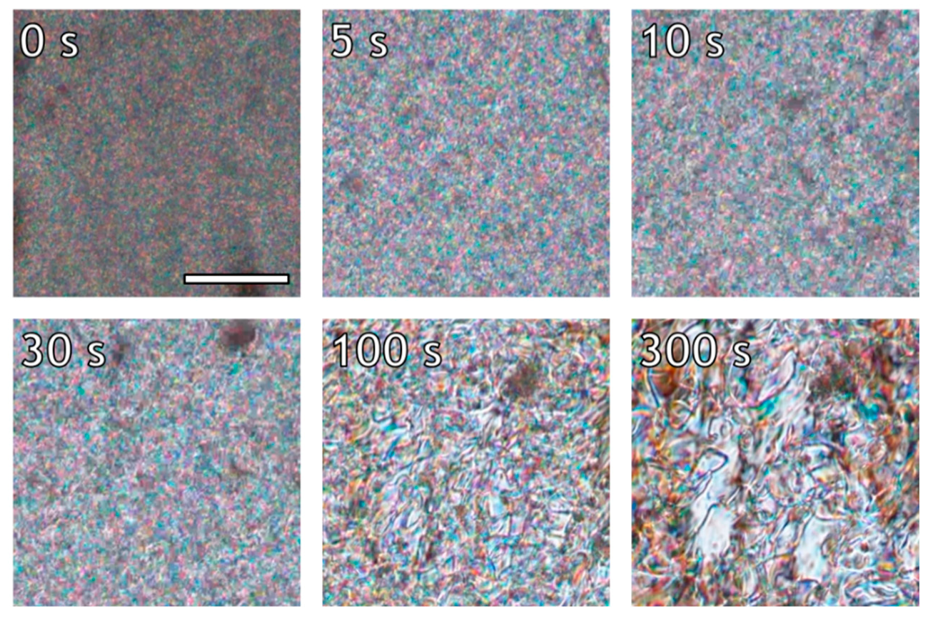 Polymers 10 00935 g006