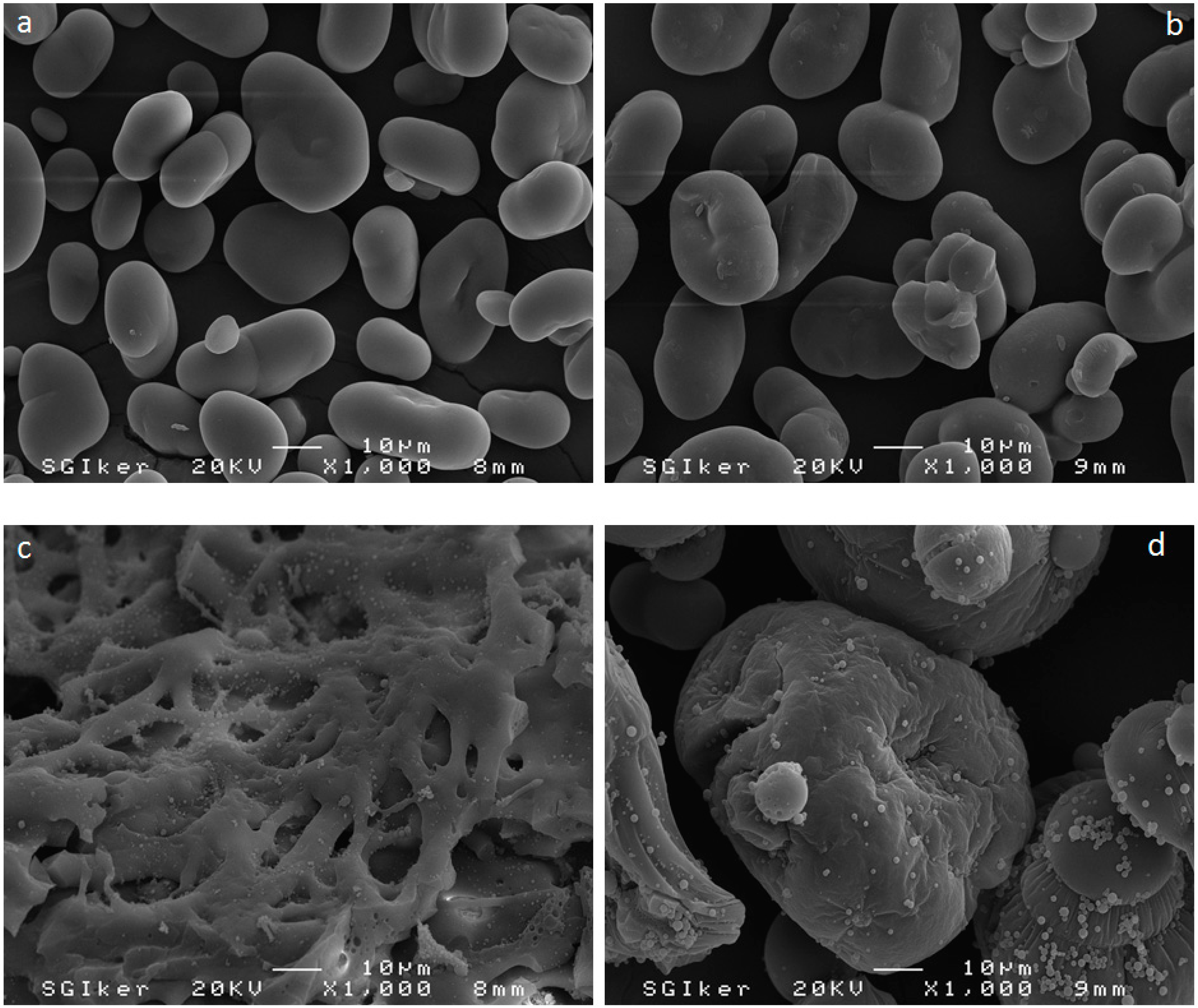 Polymers 10 00939 g006