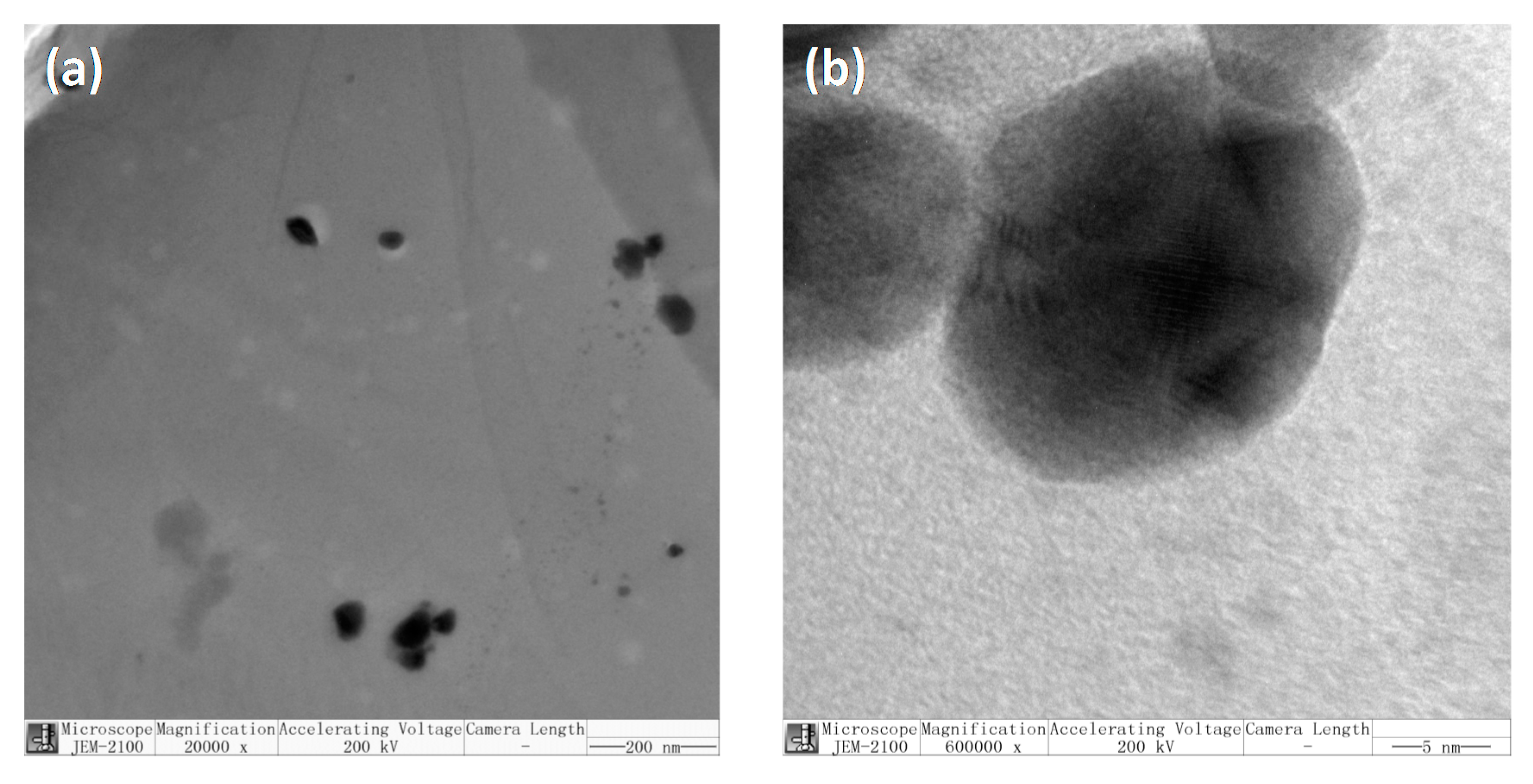 Polymers 10 00945 g004