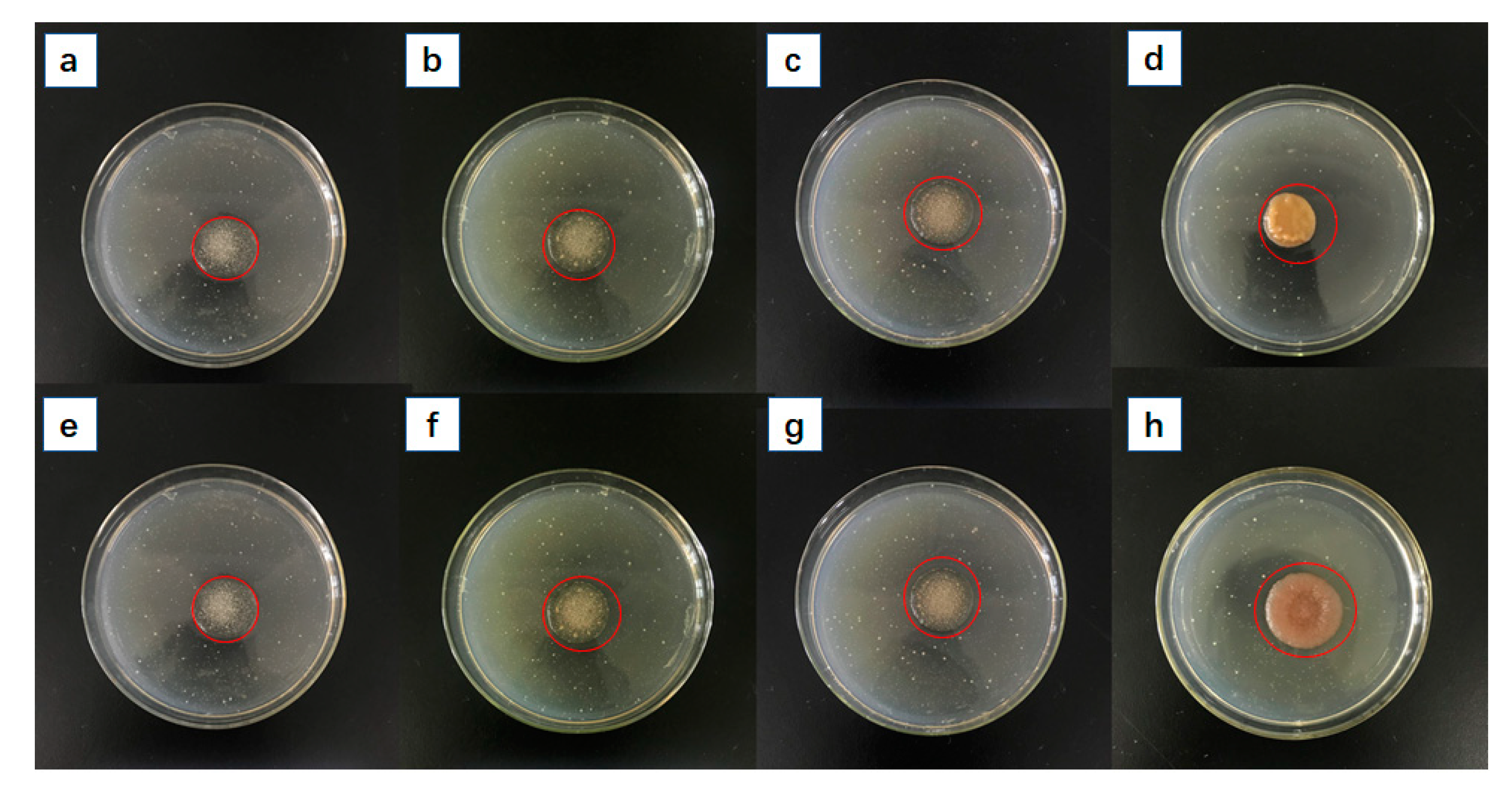 Polymers 10 00945 g007