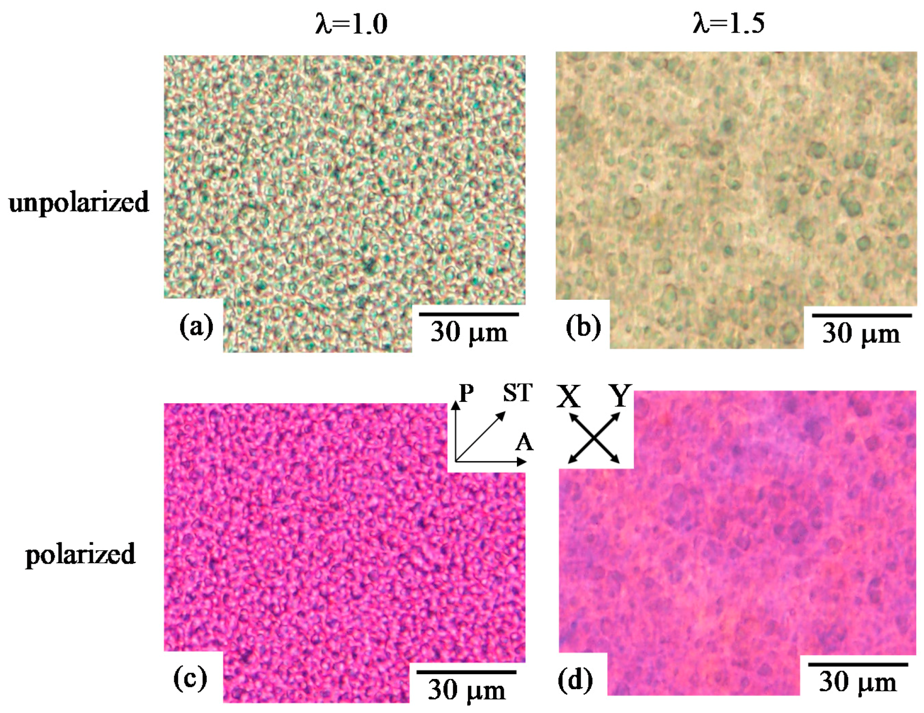 Polymers 10 00950 g002