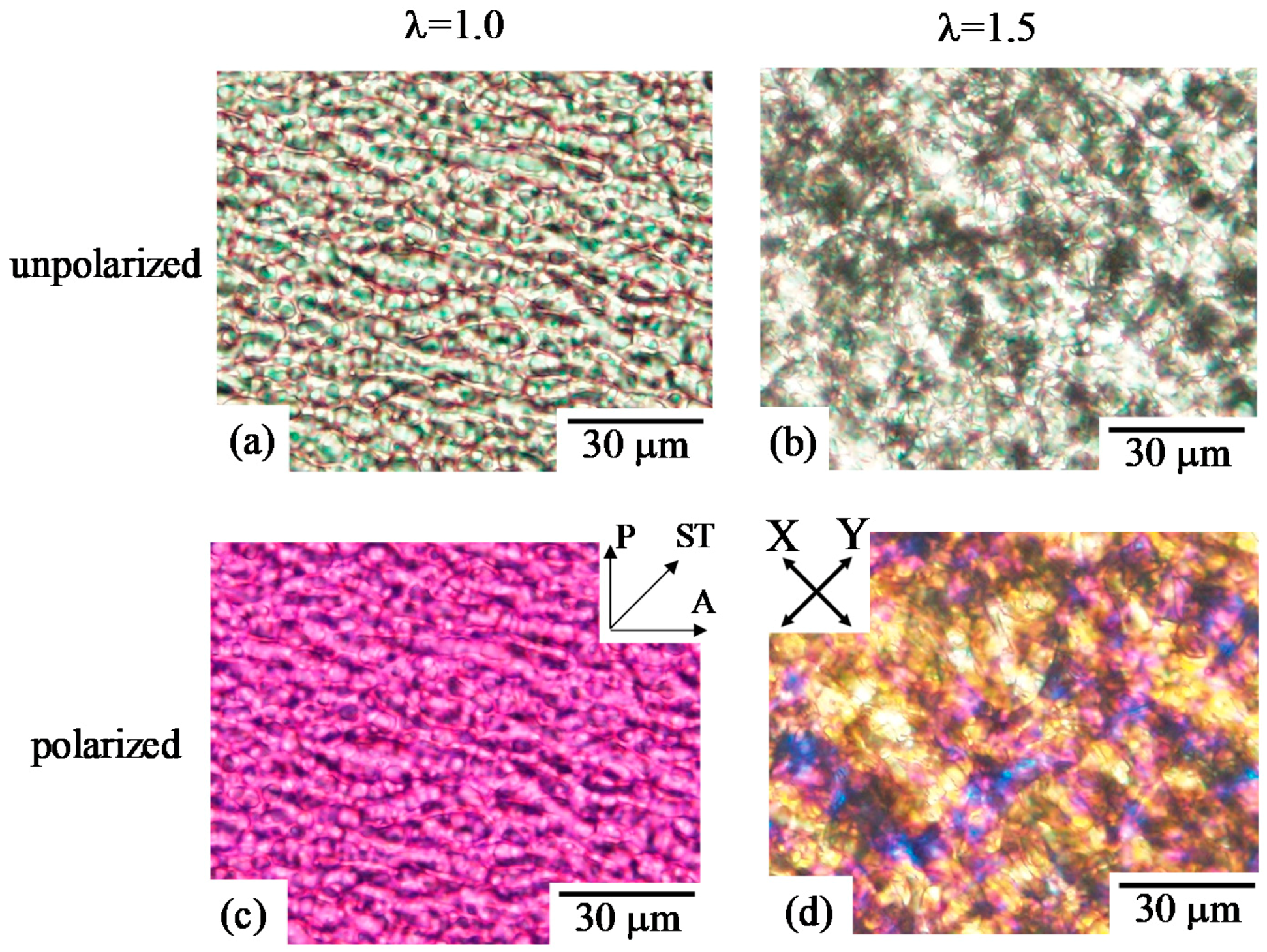 Polymers 10 00950 g003