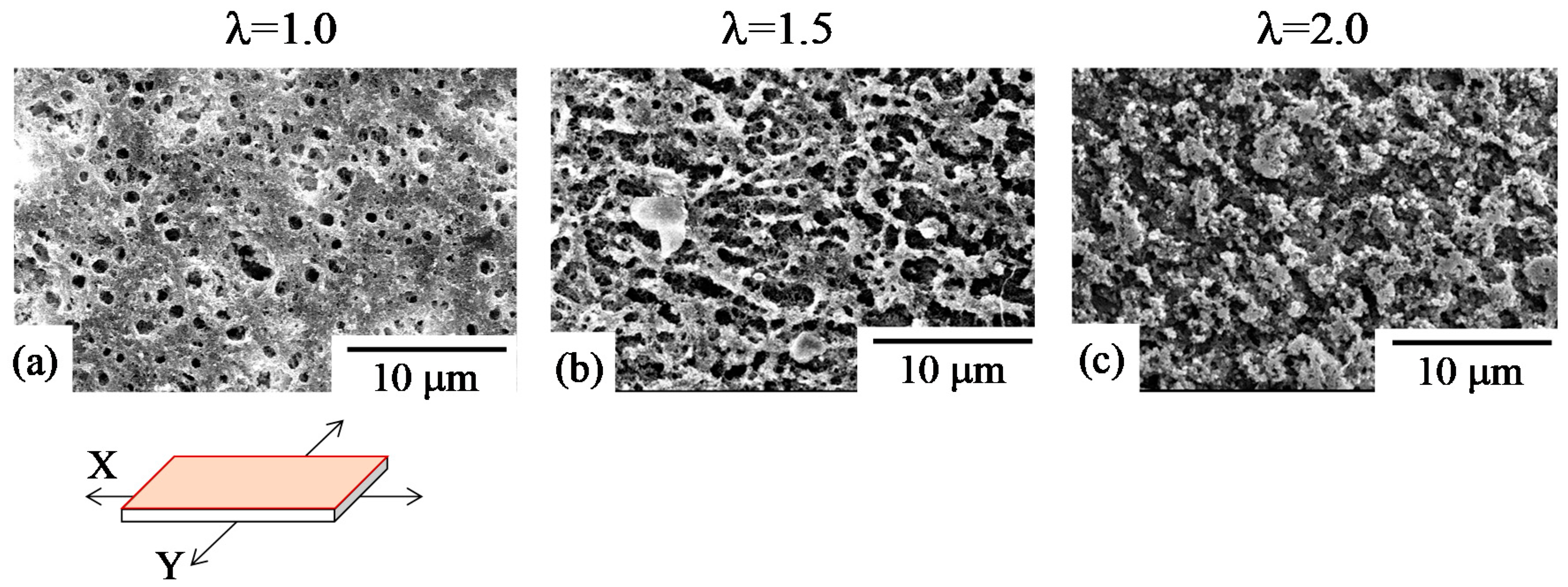 Polymers 10 00950 g007