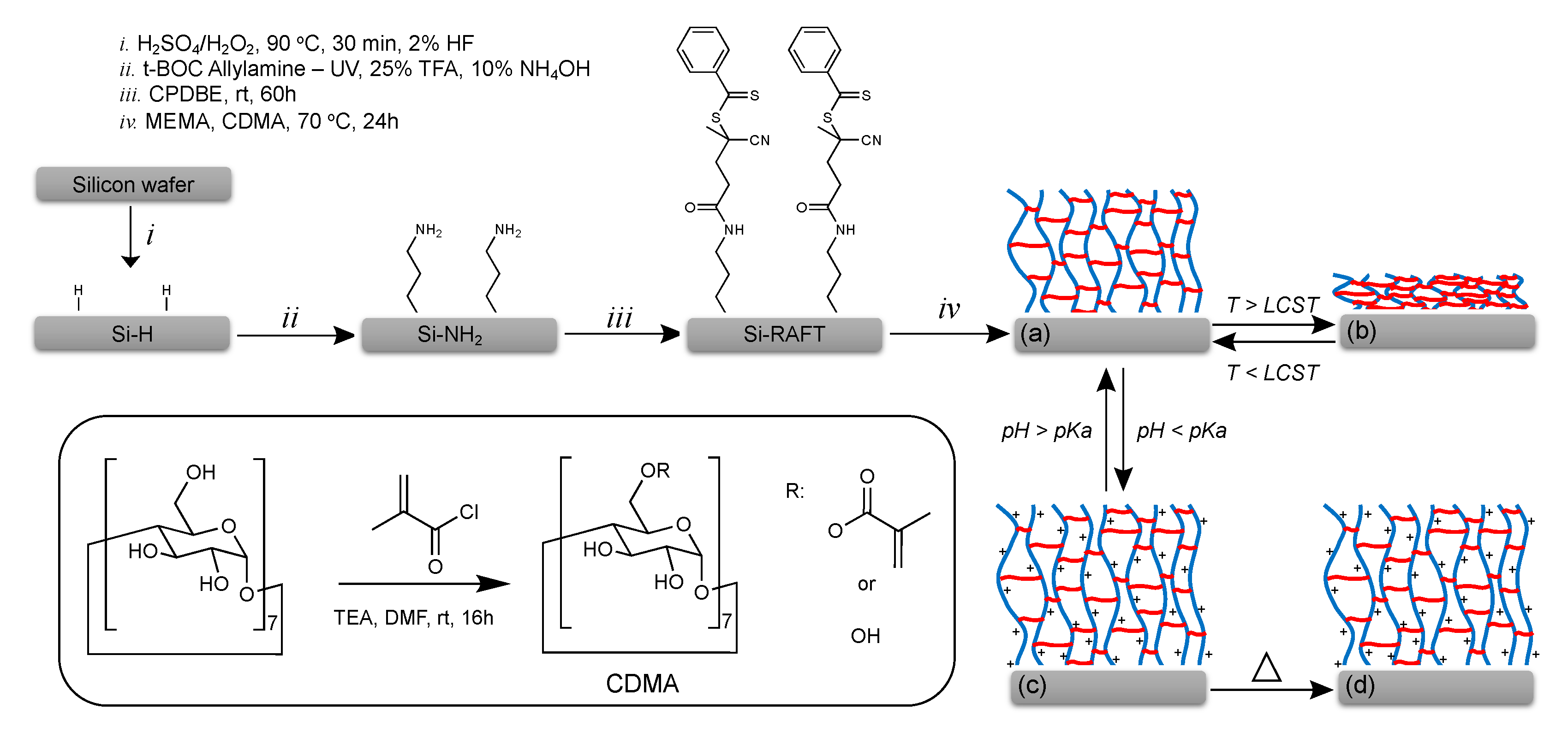 Polymers 10 00956 sch001