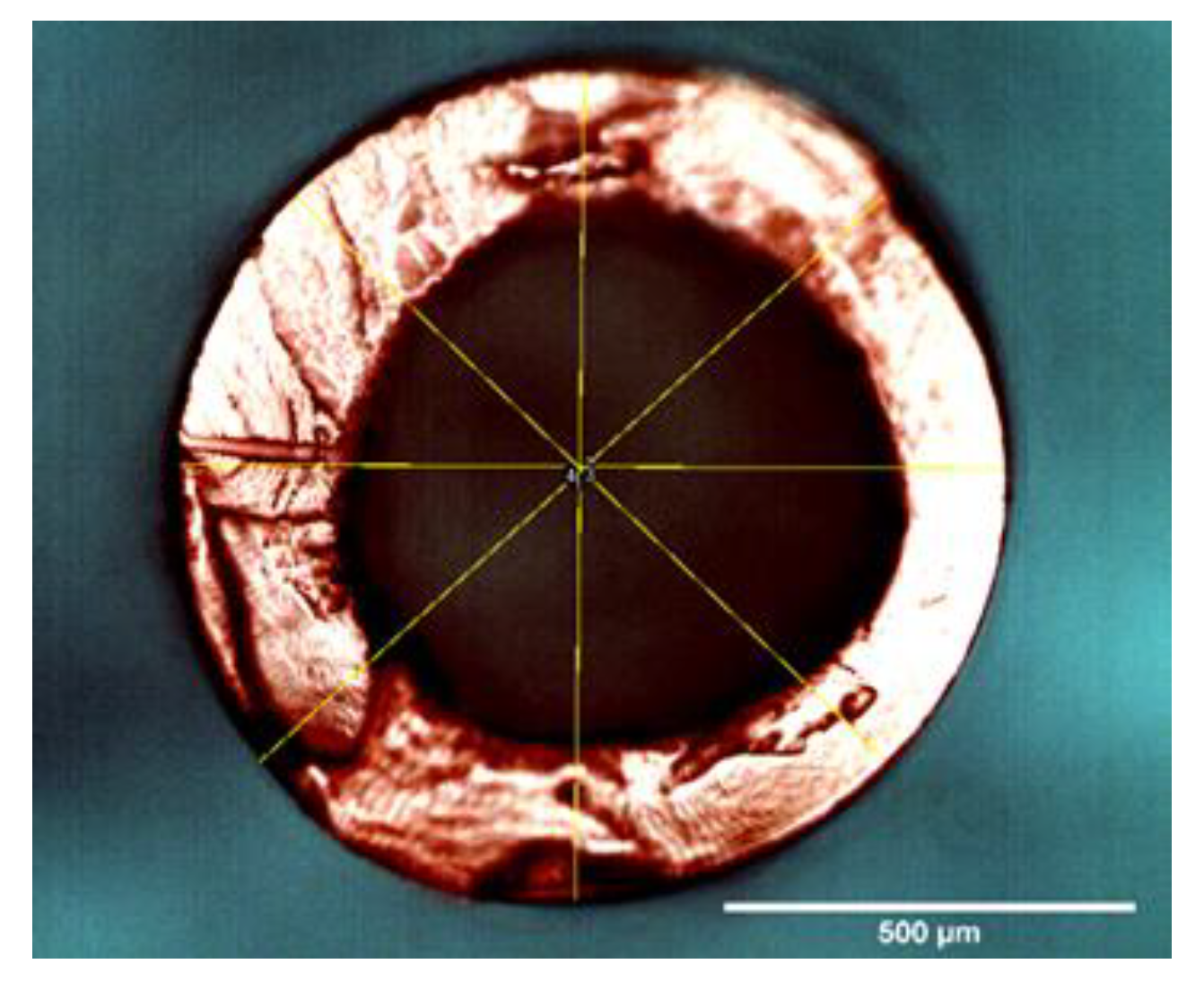 Polymers 10 00972 g004