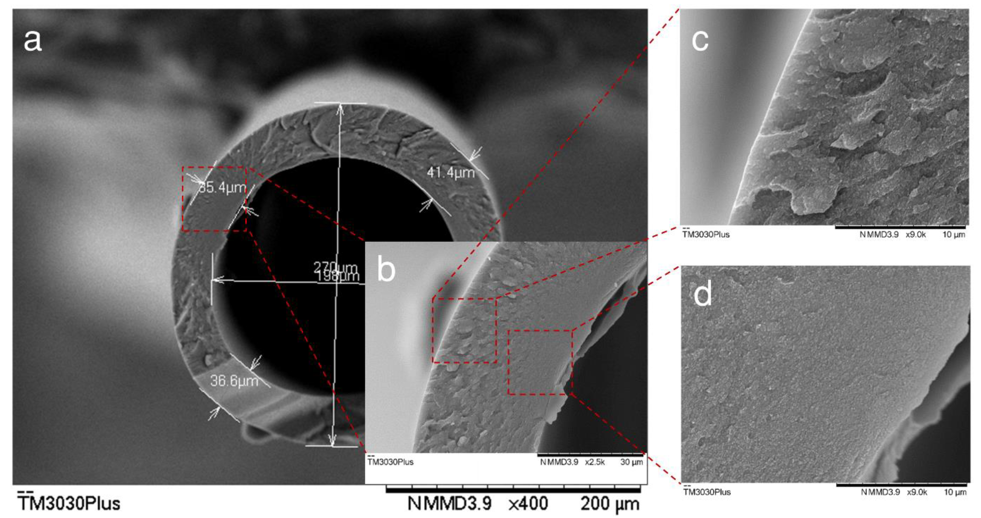 Polymers 10 00972 g005