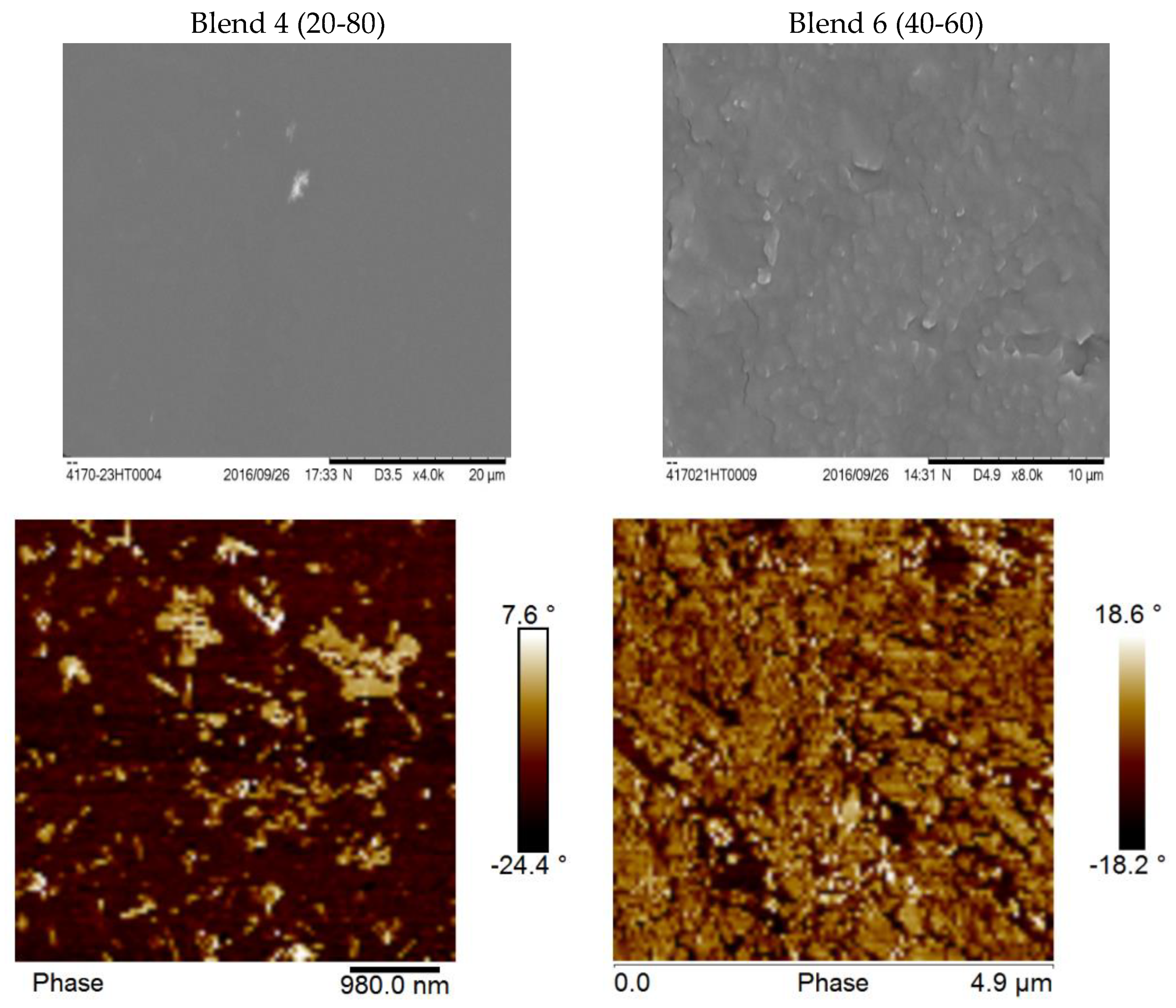 Polymers 10 00975 g005