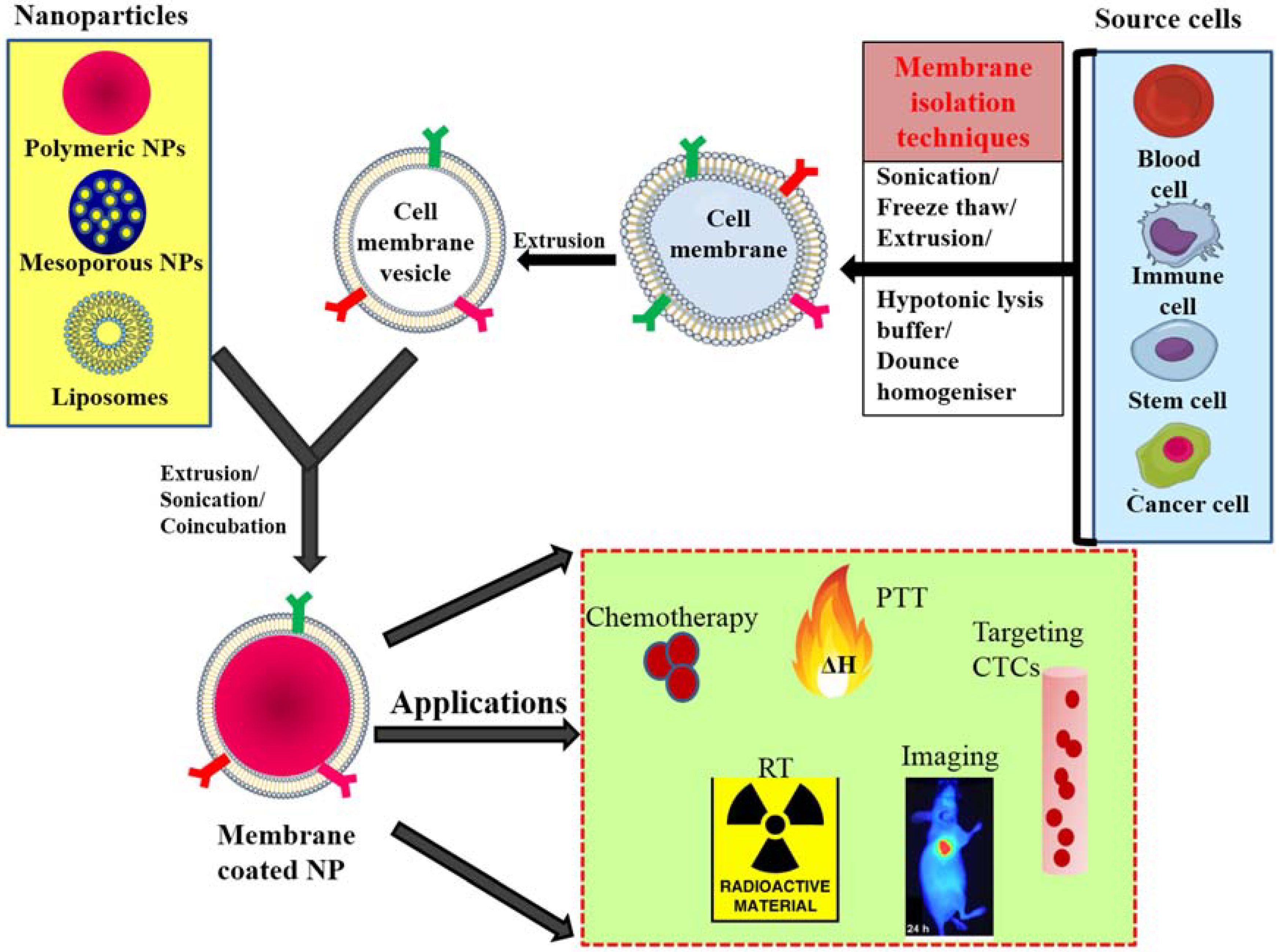 Polymers 10 00983 g001